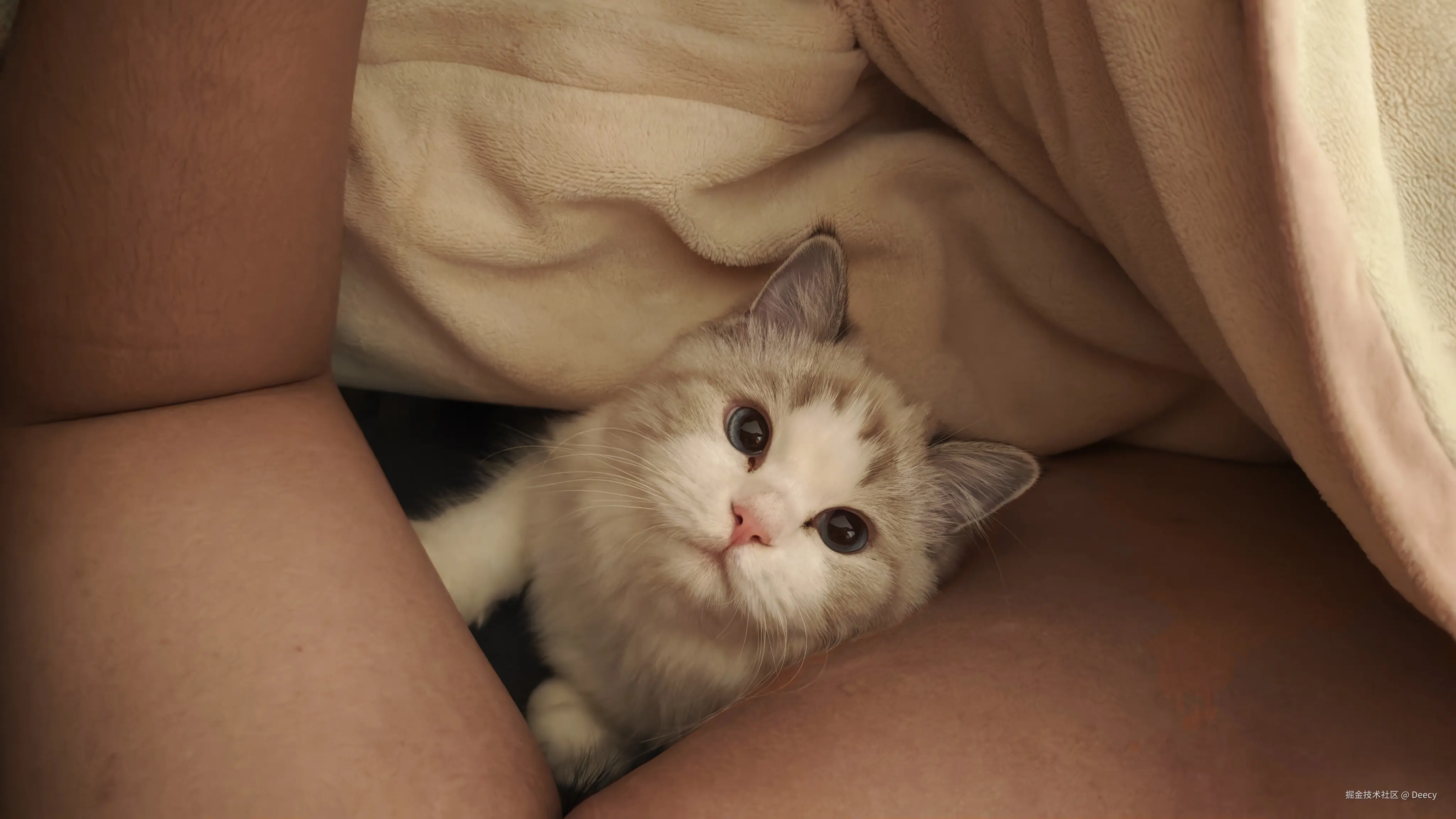 Deecy于2025-11-20 14:42发布的图片