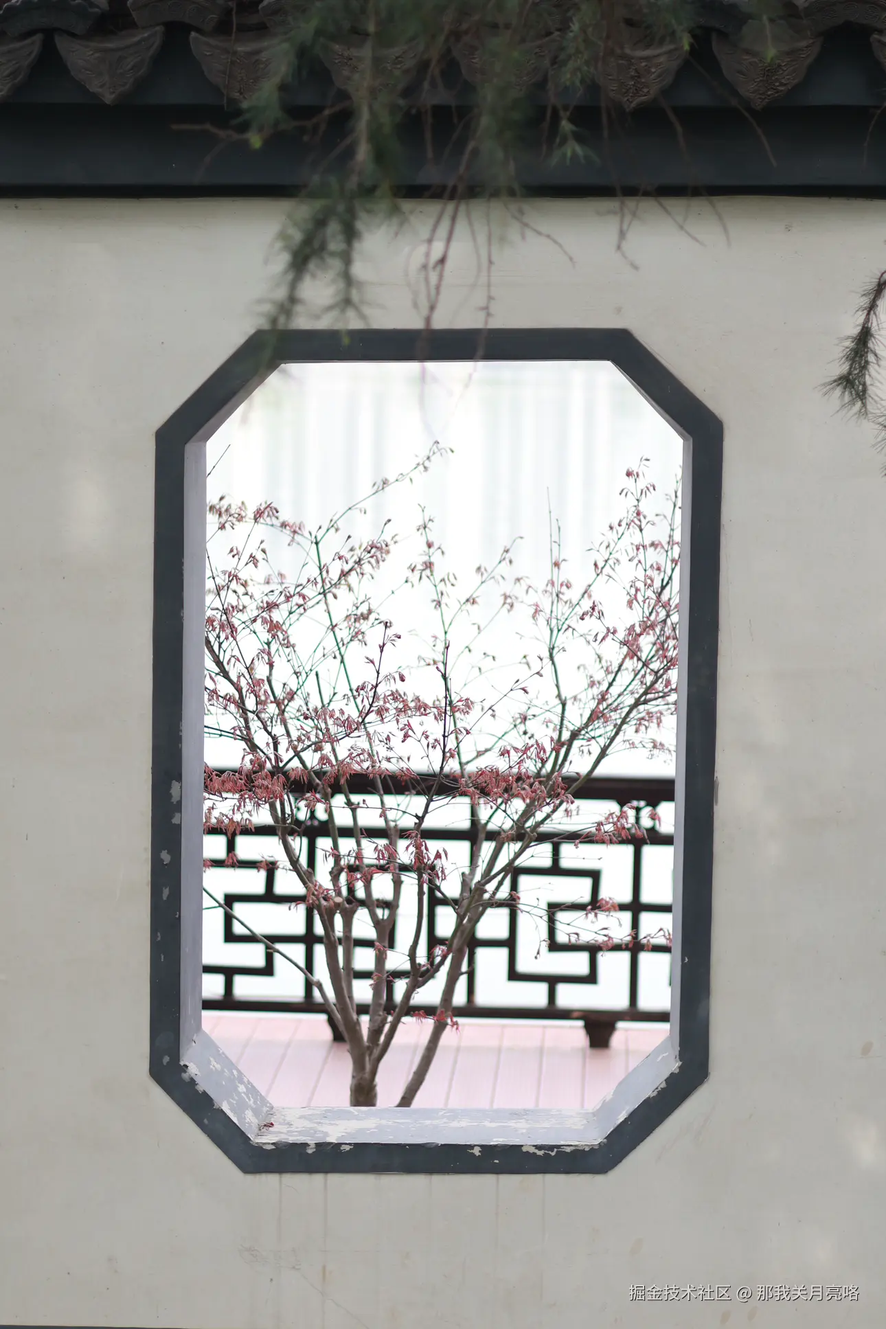 那我关月亮咯于2025-03-31 14:28发布的图片