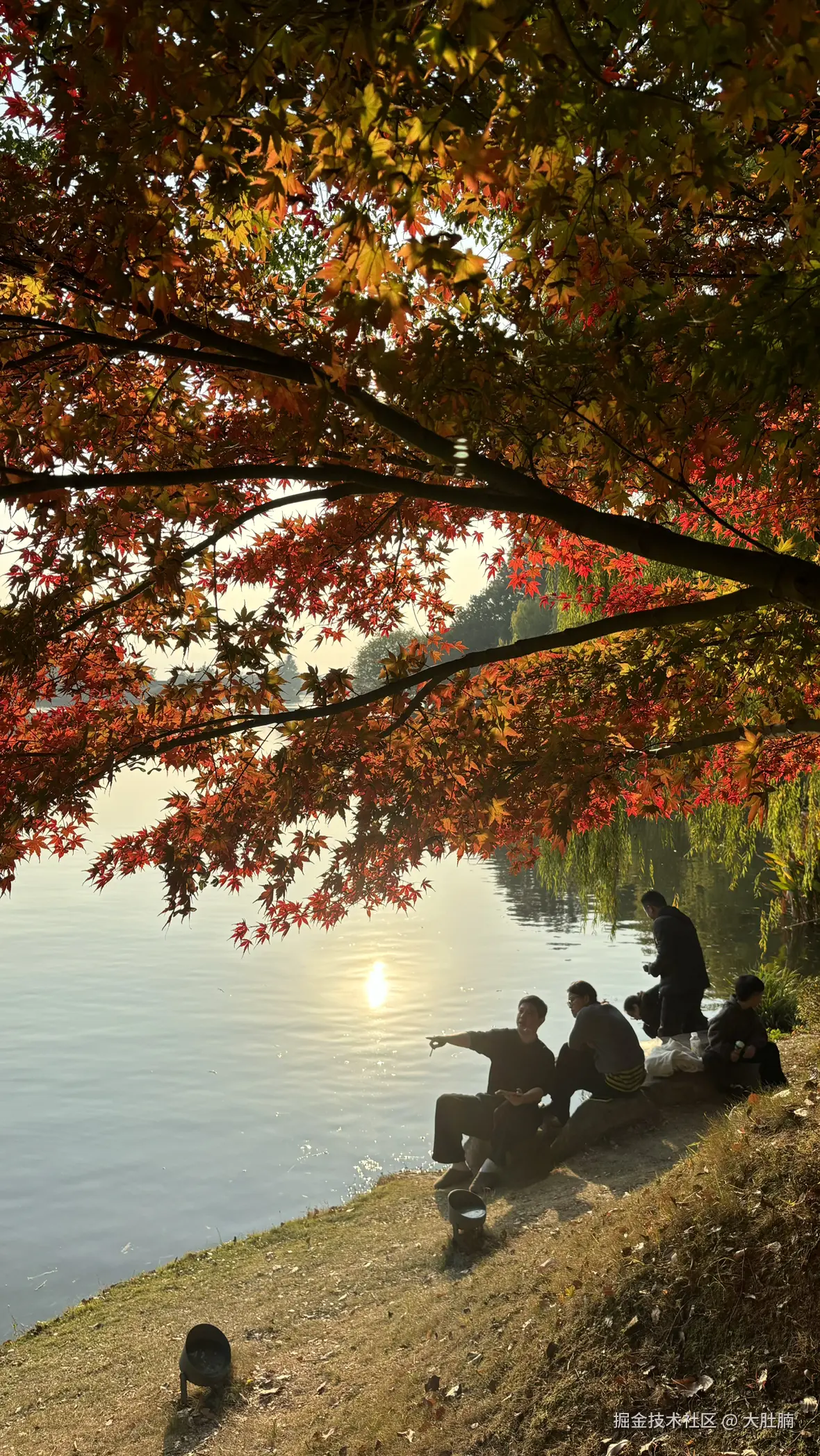 大肚腩于2025-12-08 09:23发布的图片