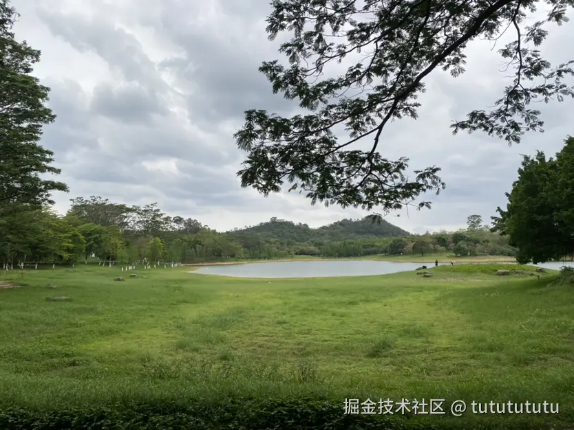 tututututu于2026-04-21 14:22发布的图片