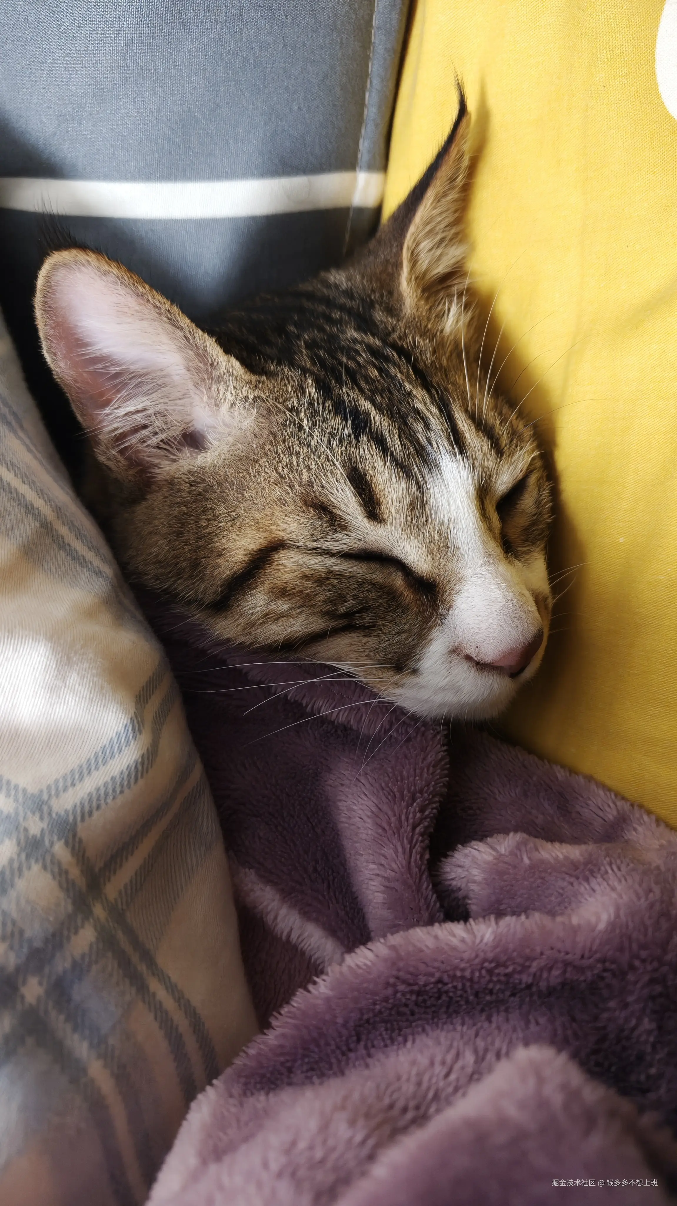 钱多多不想上班于2026-01-26 09:13发布的图片