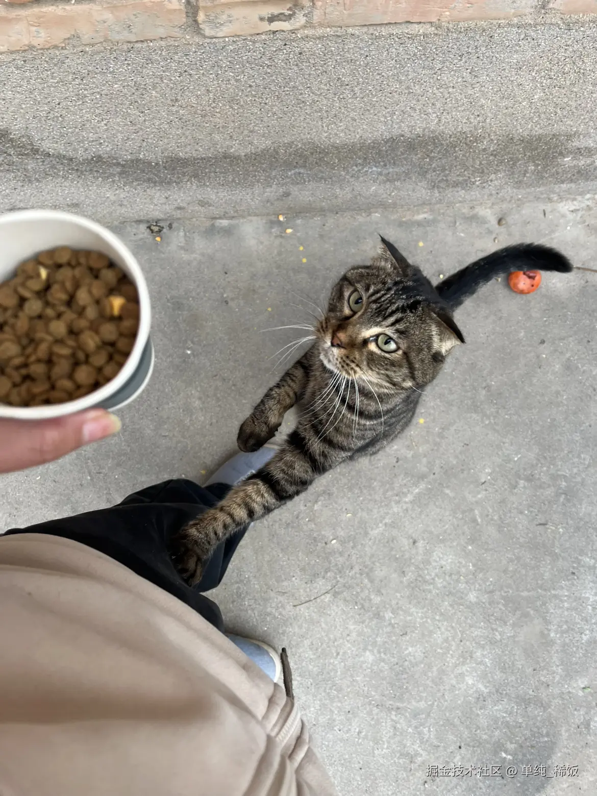 单纯_稀饭于2025-12-02 09:18发布的图片