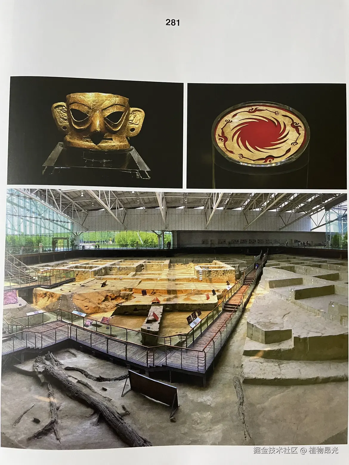 植物昂光于2026-04-03 22:07发布的图片