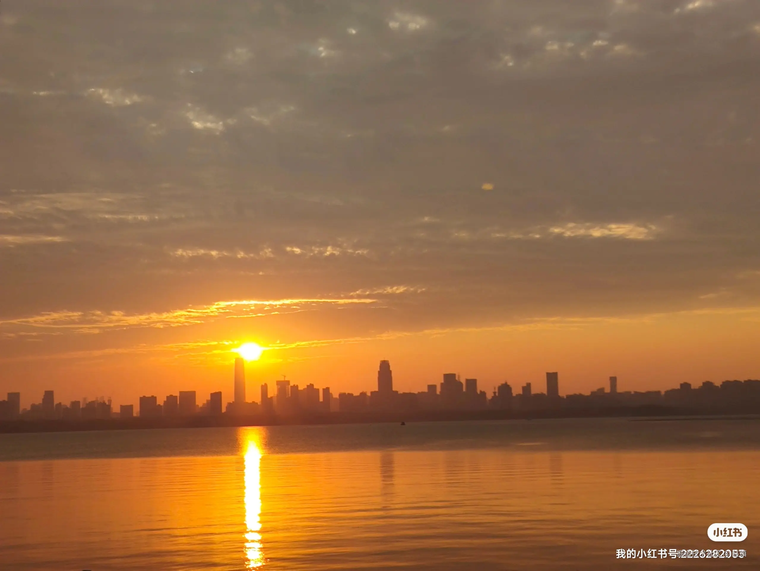 赵镇于2024-07-23 12:21发布的图片