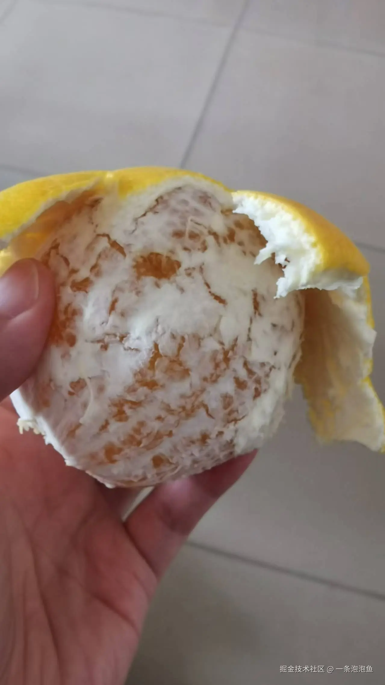 一条泡泡鱼于2024-11-19 13:49发布的图片