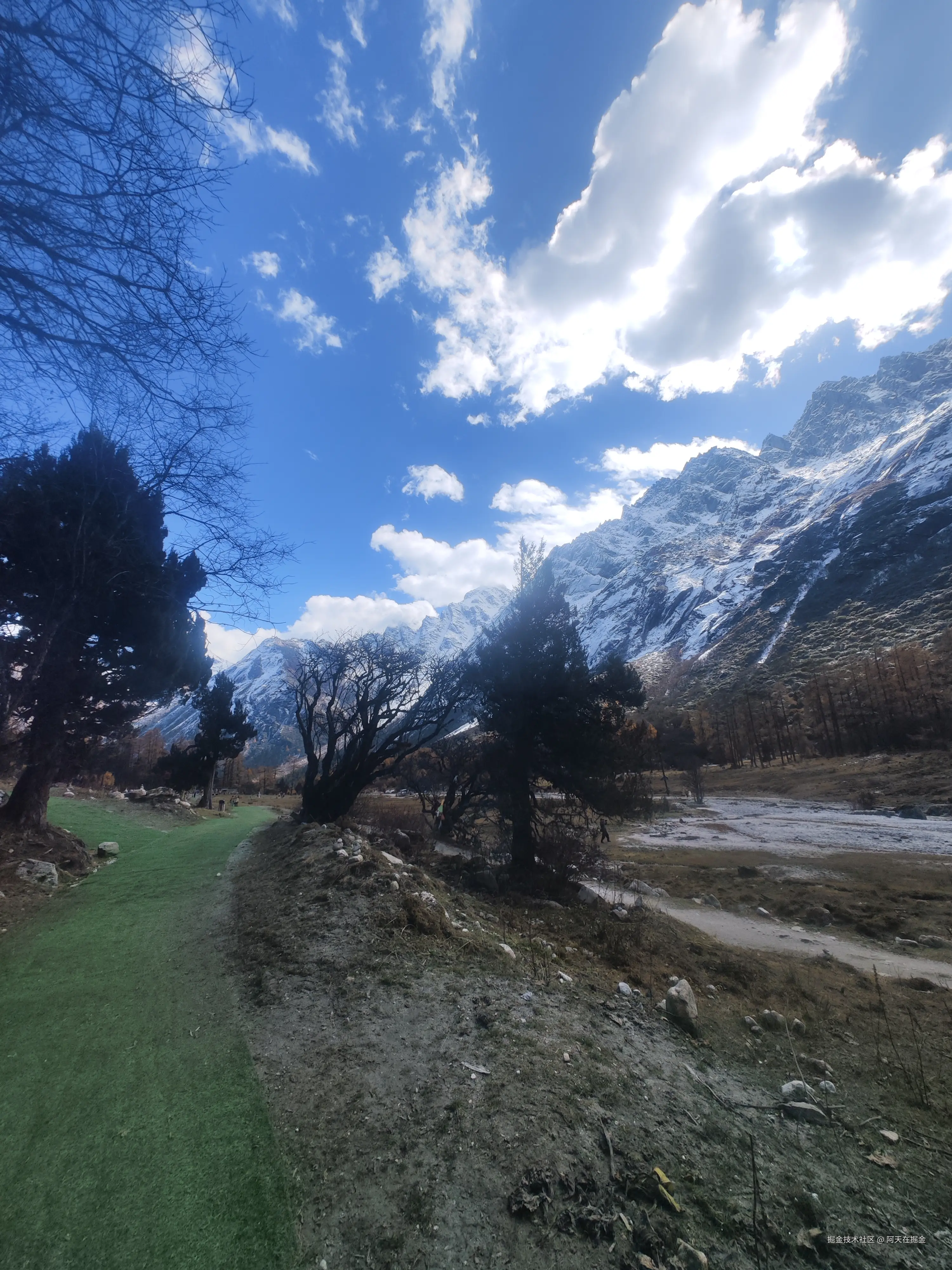 阿天在掘金于2024-11-06 15:00发布的图片