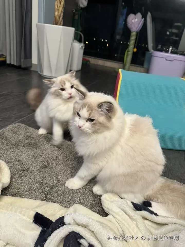 林林摸鱼专用于2024-11-01 14:24发布的图片