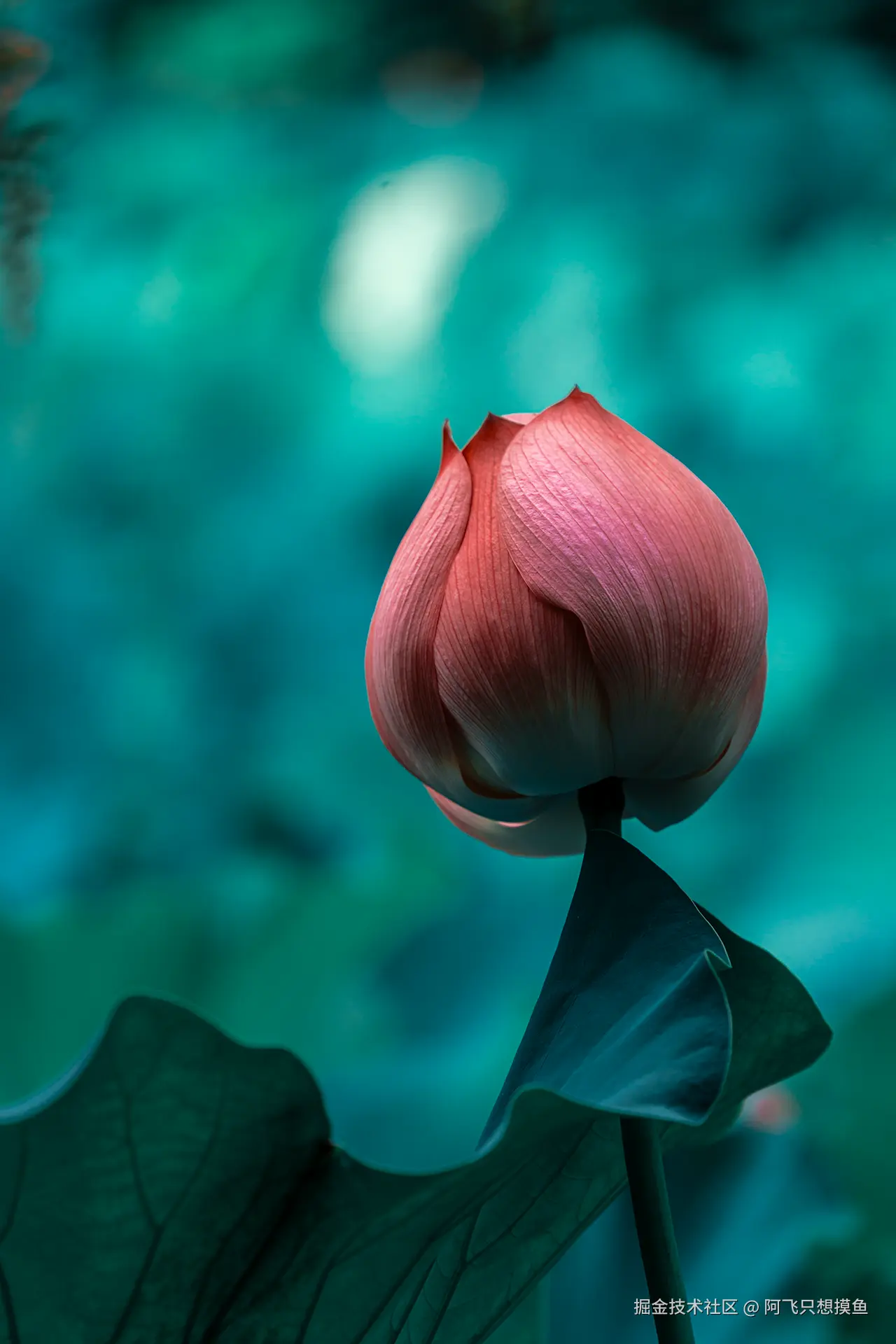 阿飞只想摸鱼于2025-07-16 10:21发布的图片