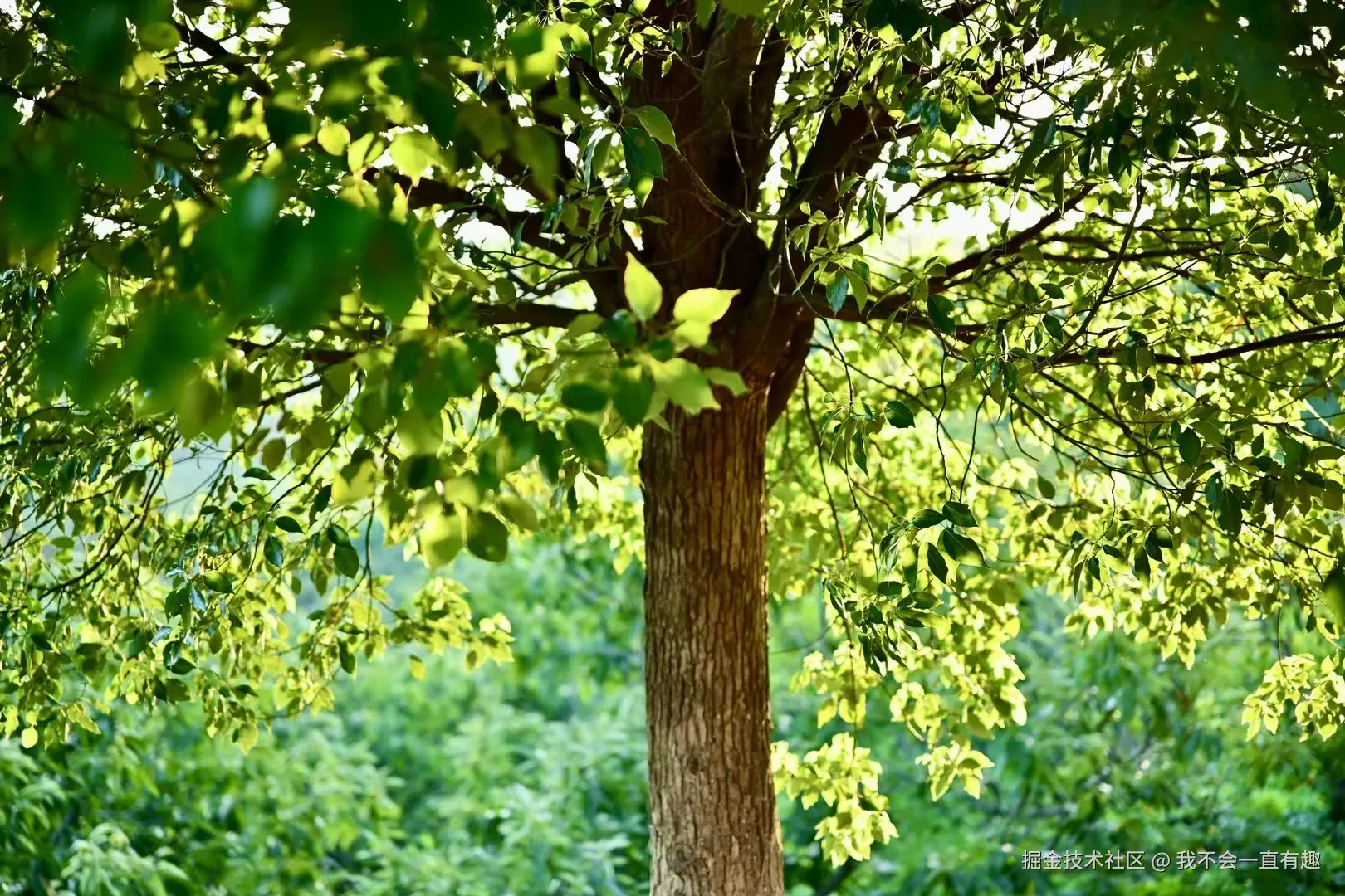 我不会一直有趣于2024-07-29 15:42发布的图片