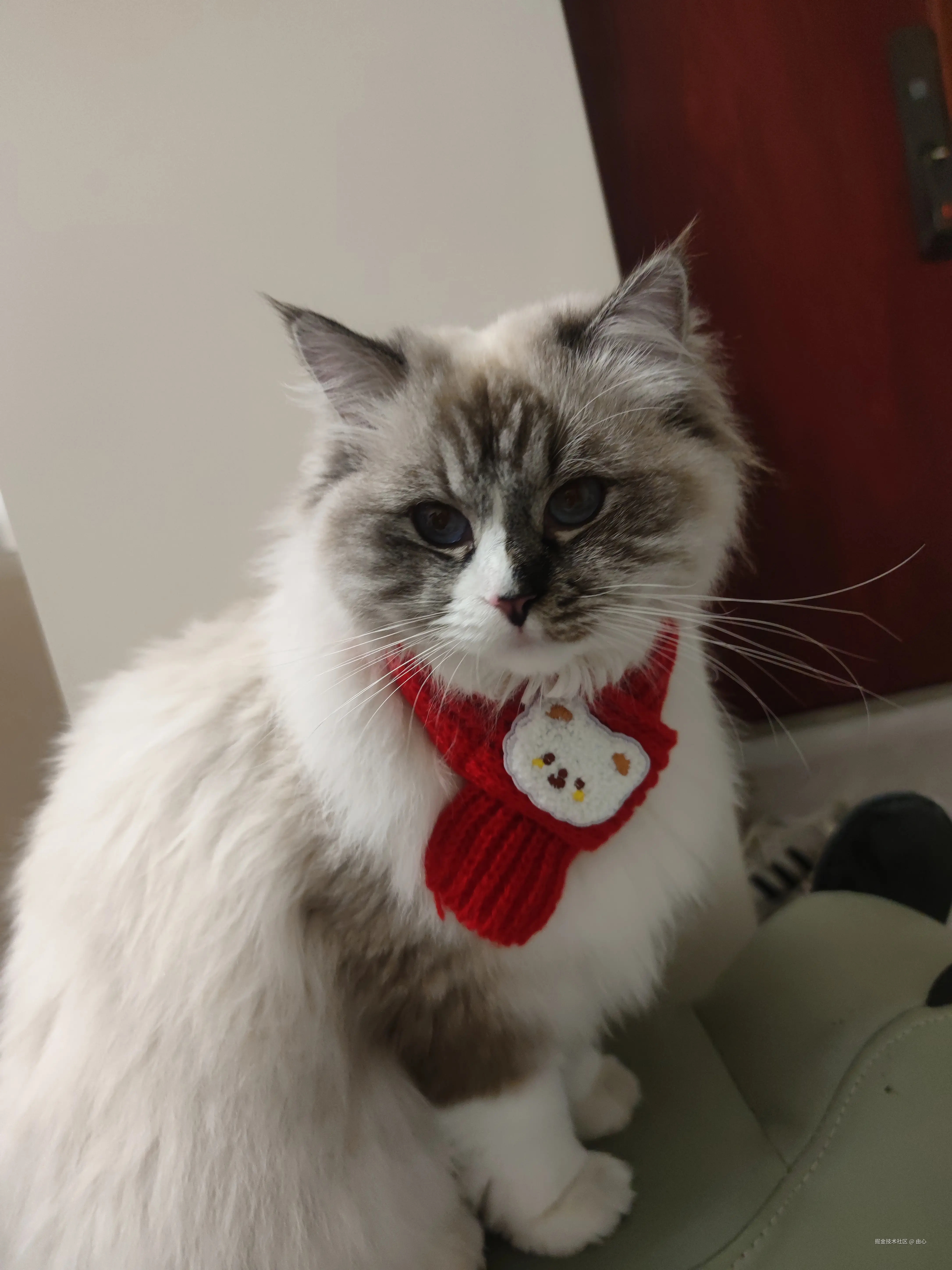 由心于2026-03-10 10:26发布的图片