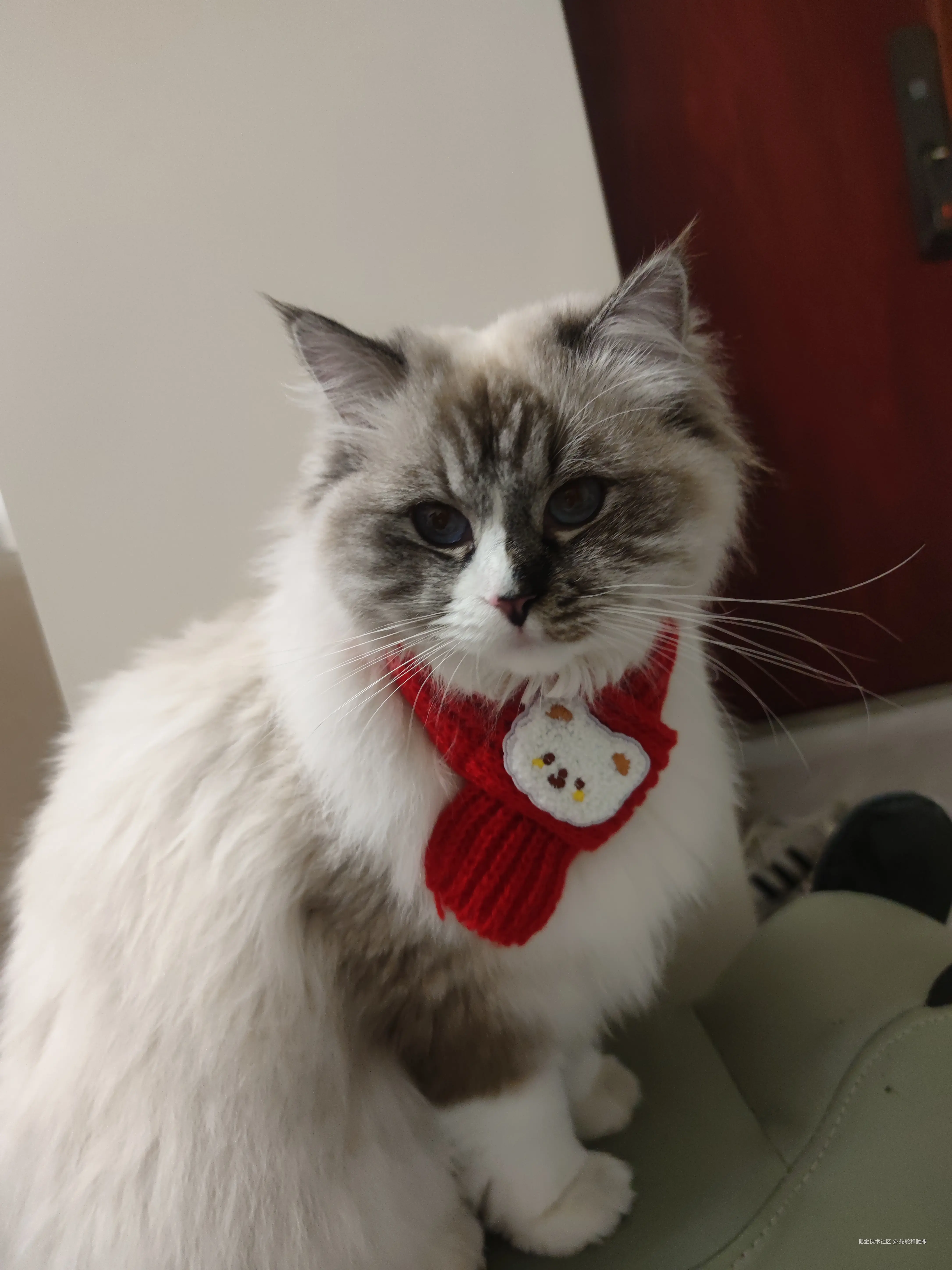 舵舵和撇撇于2026-03-10 10:26发布的图片