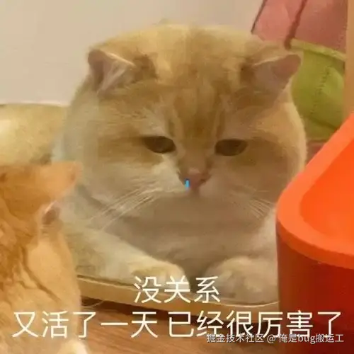 俺是bug搬运工于2025-01-16 15:21发布的图片