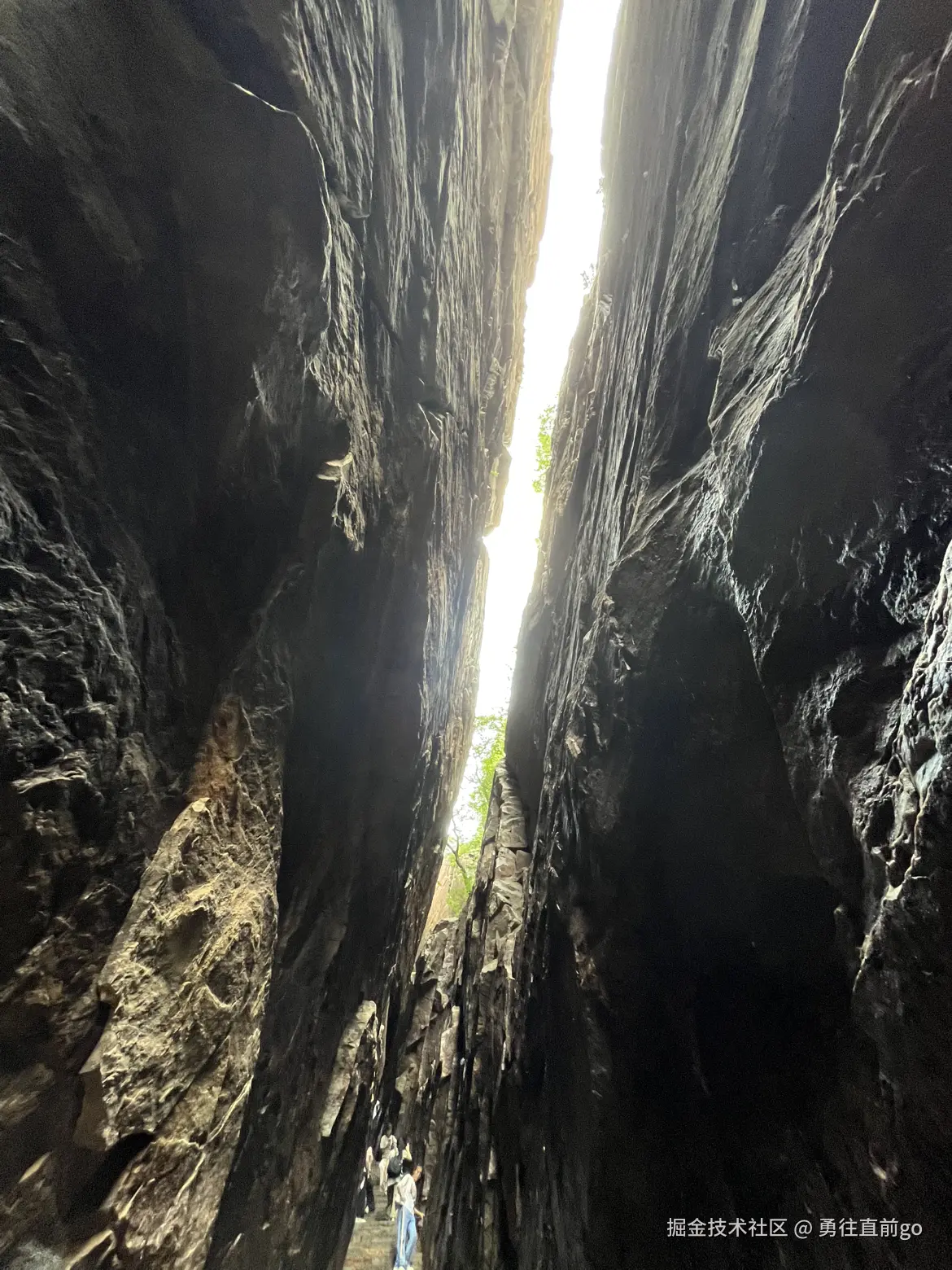 勇往直前go于2025-06-30 08:58发布的图片