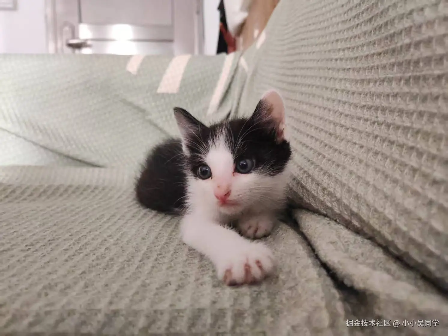 小小吴同学于2025-04-28 09:09发布的图片