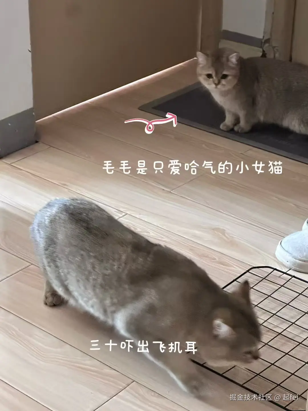 起fei于2025-03-10 11:02发布的图片