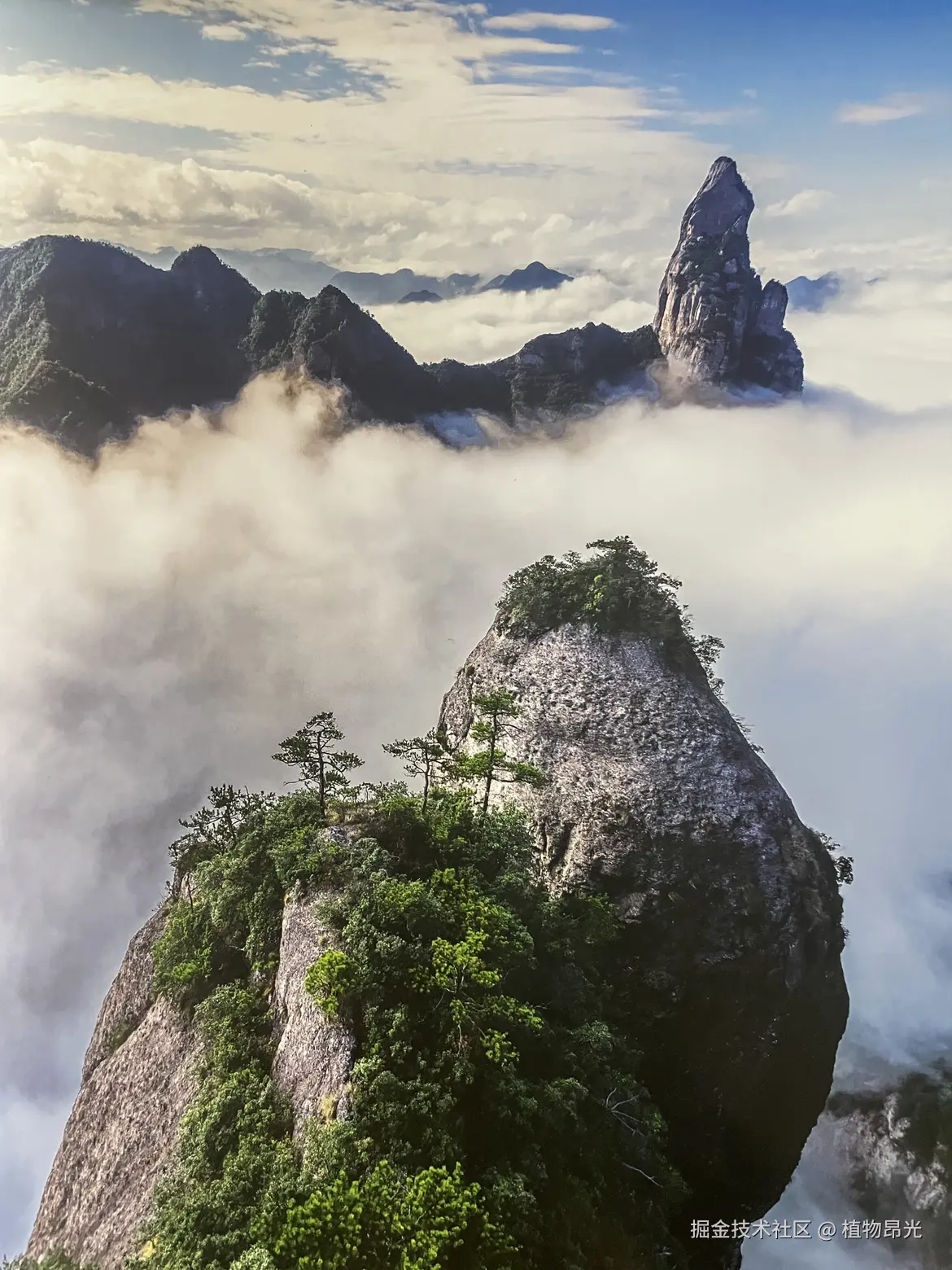 植物昂光于2026-04-14 20:57发布的图片