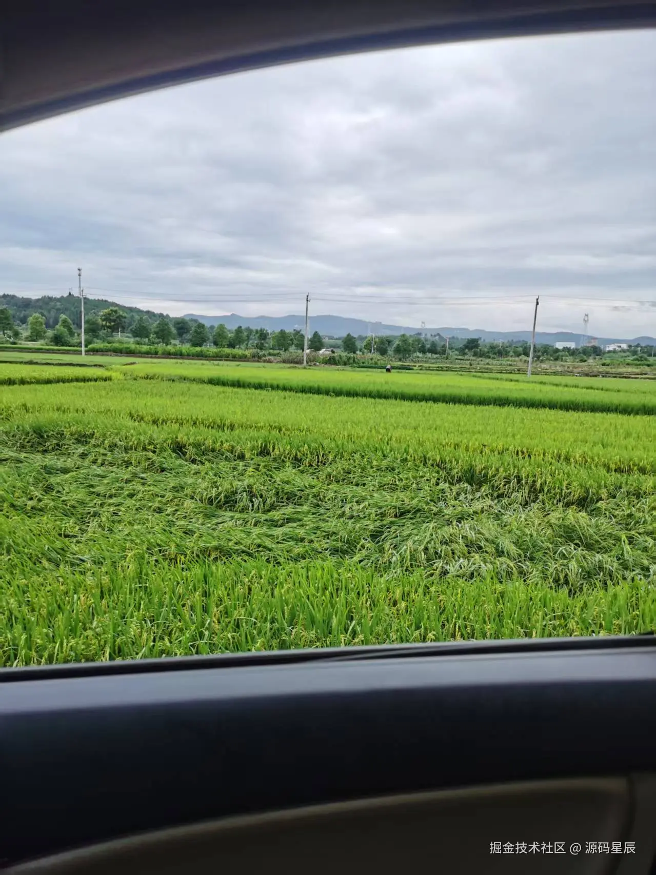 源码星辰于2025-07-21 11:13发布的图片