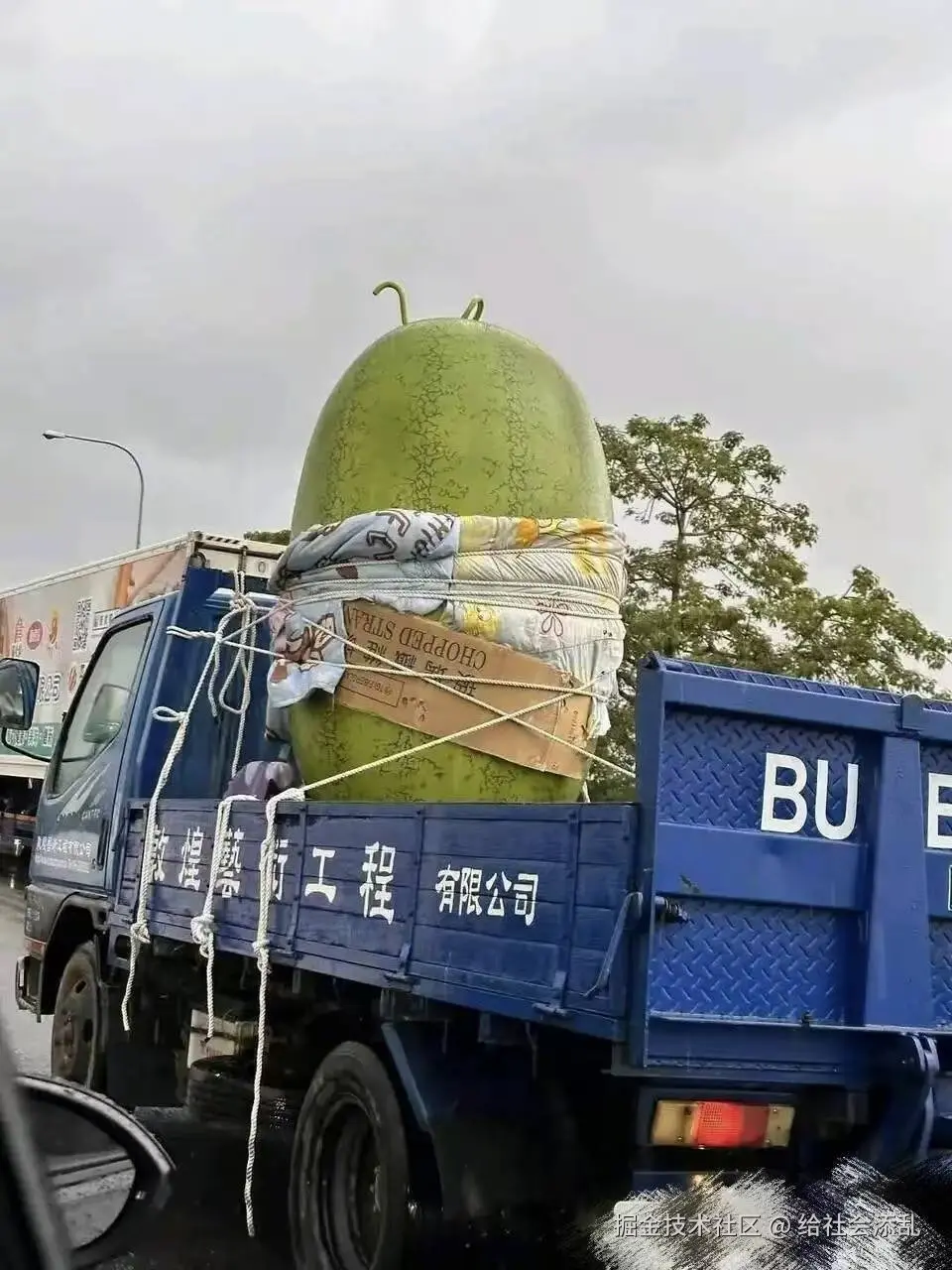 给社会添乱于2025-09-19 16:22发布的图片