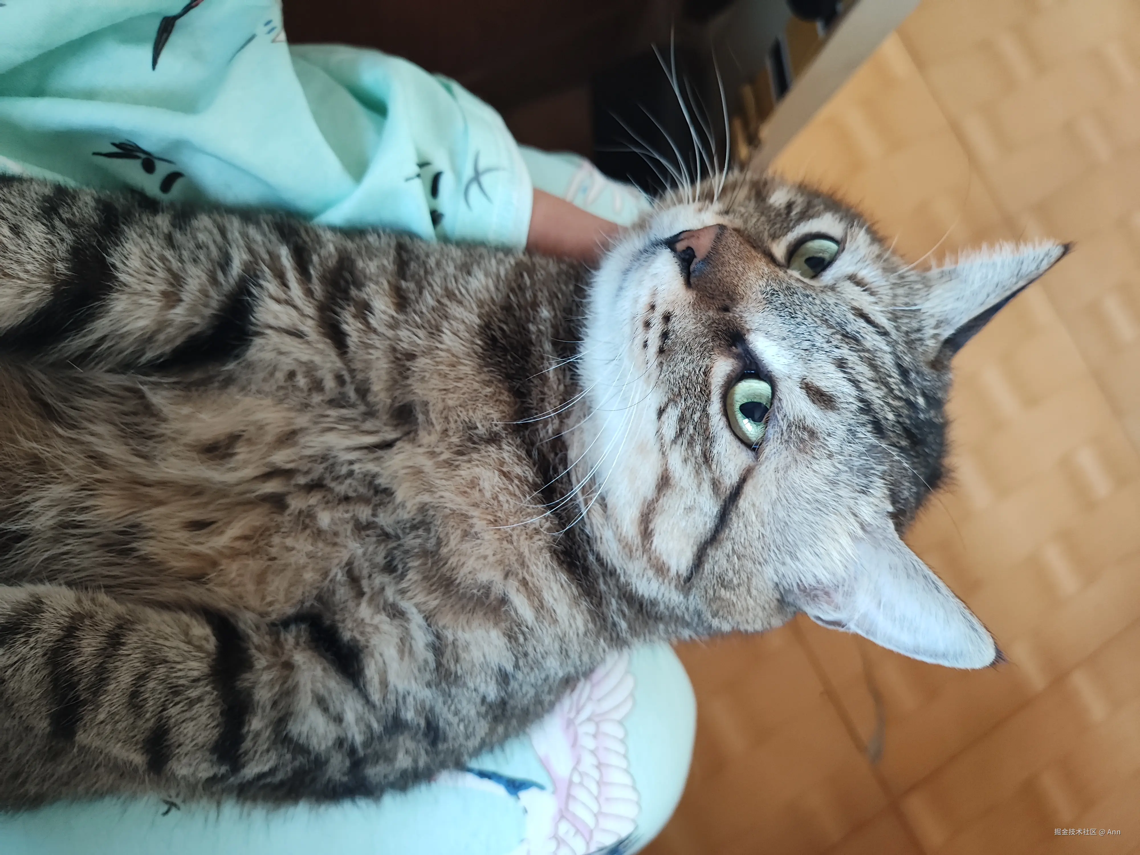 Ann于2024-10-09 02:43发布的图片