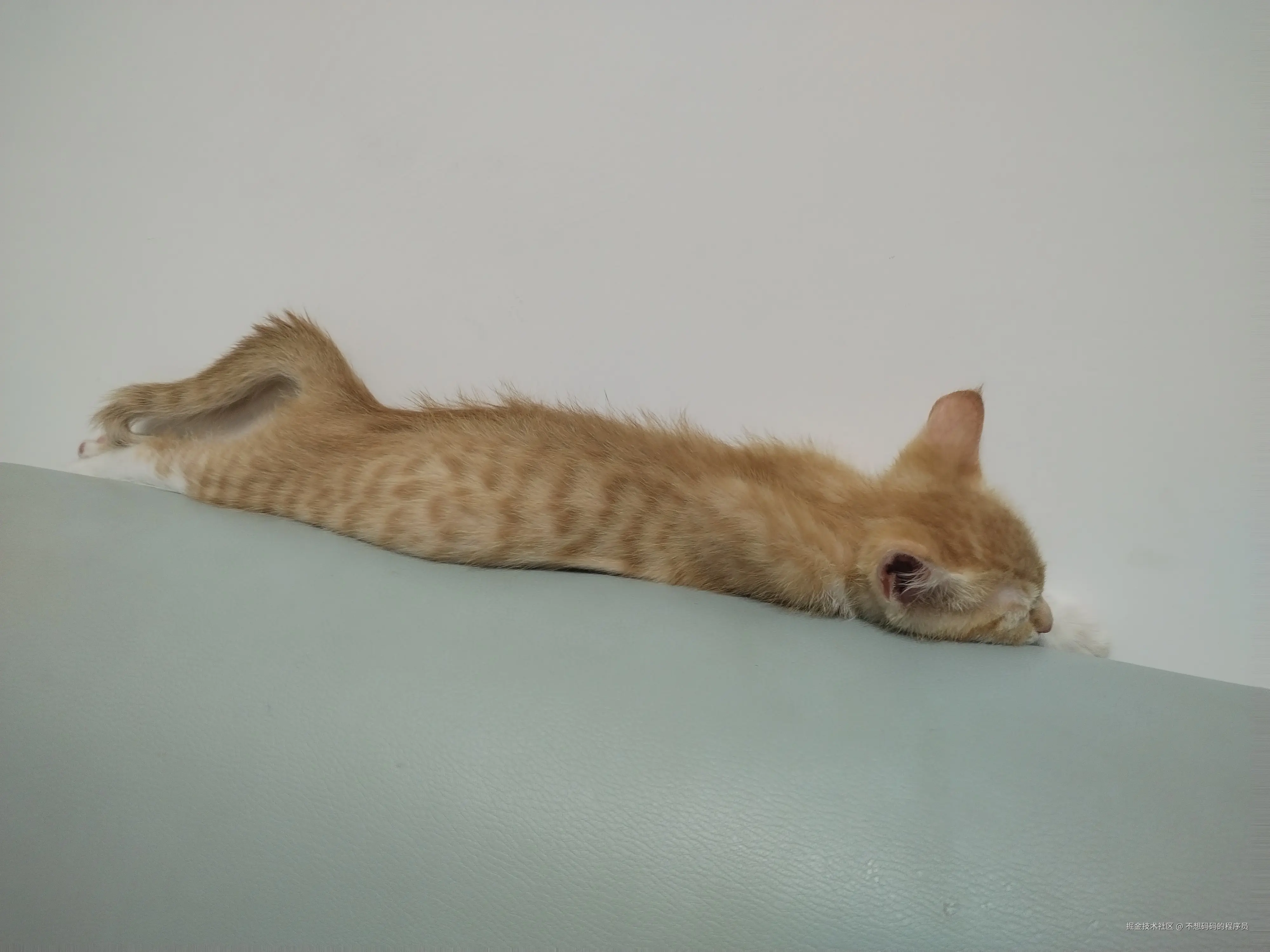 不想码码的程序员于2025-06-11 09:51发布的图片