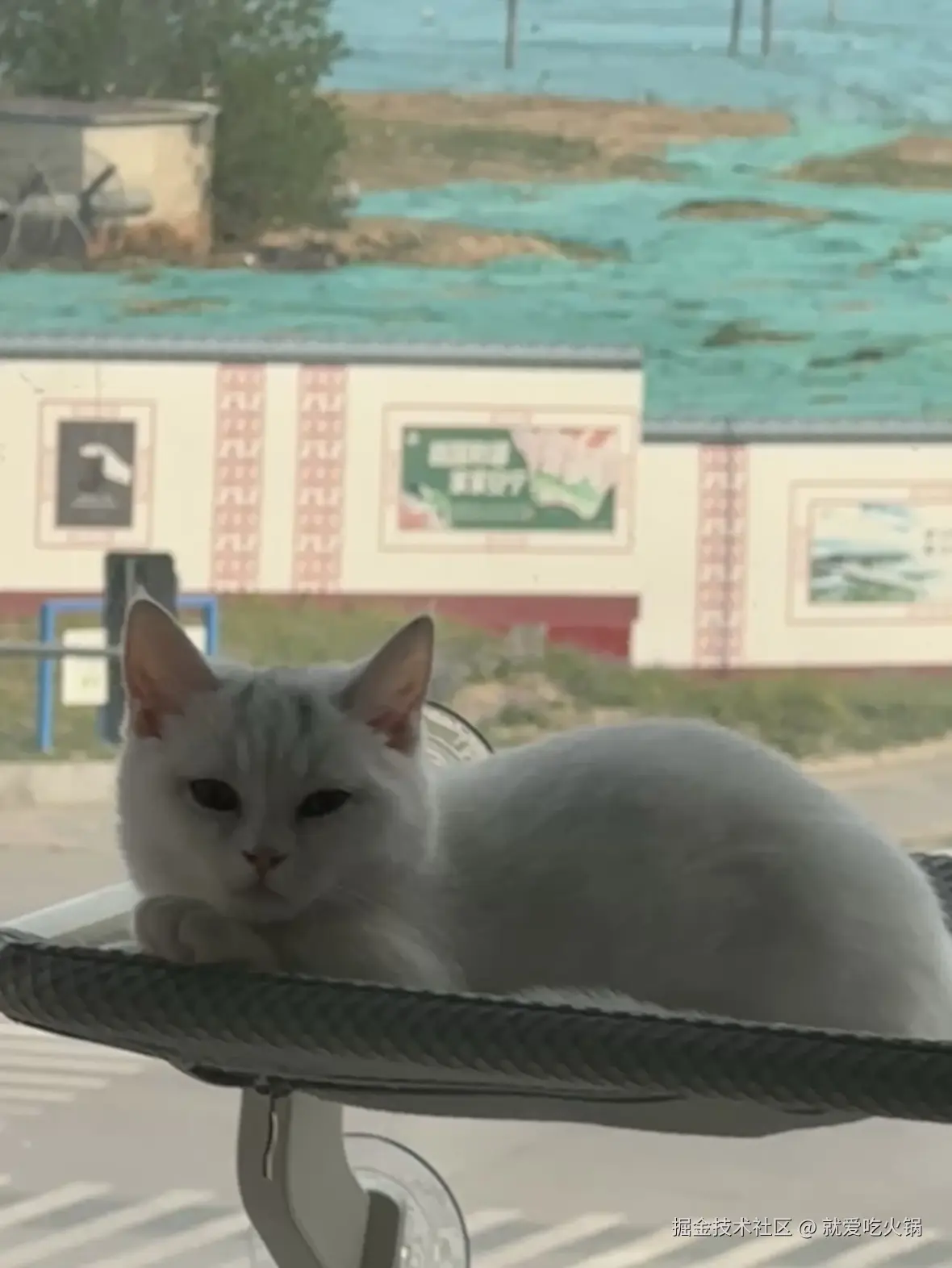 就爱吃火锅于2025-05-19 09:52发布的图片