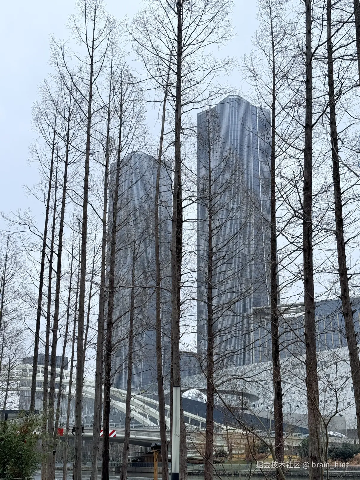 brain_hint于2026-02-25 13:05发布的图片