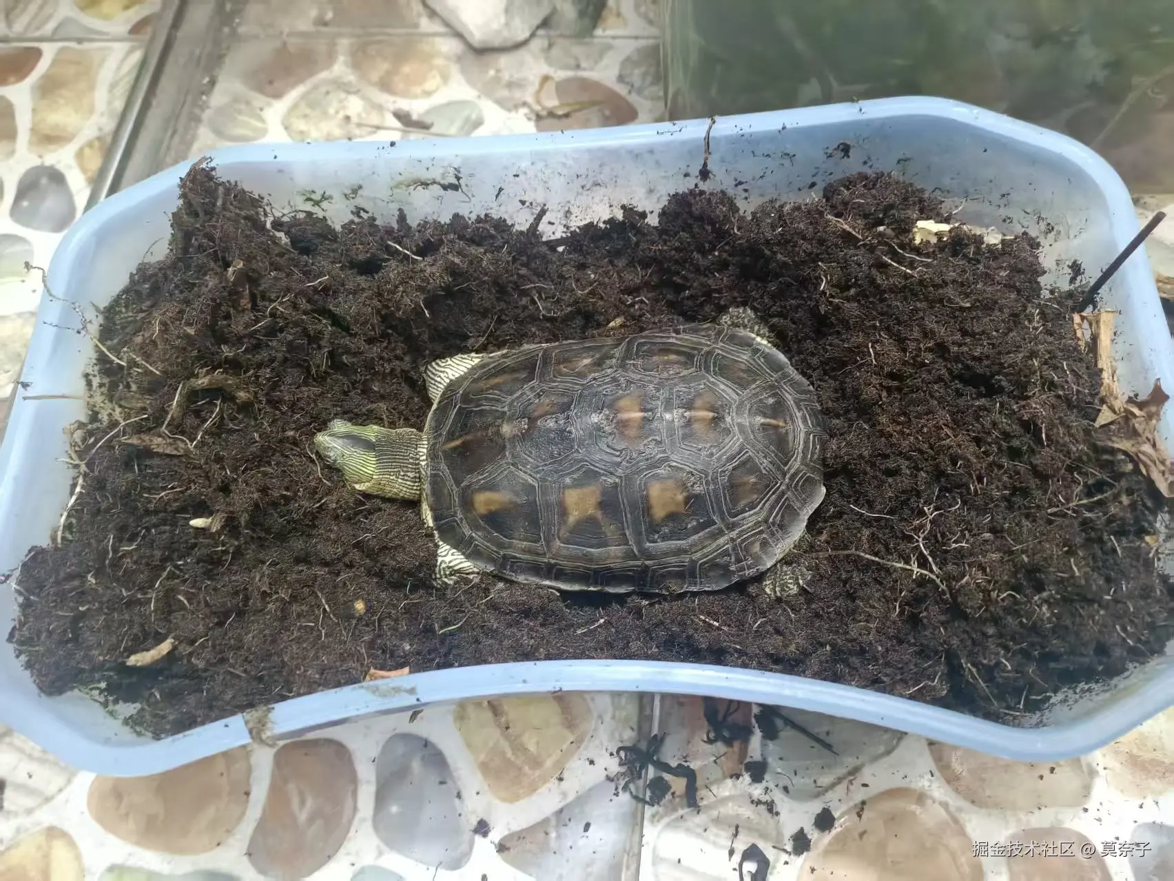 莫奈子于2025-06-05 22:34发布的图片