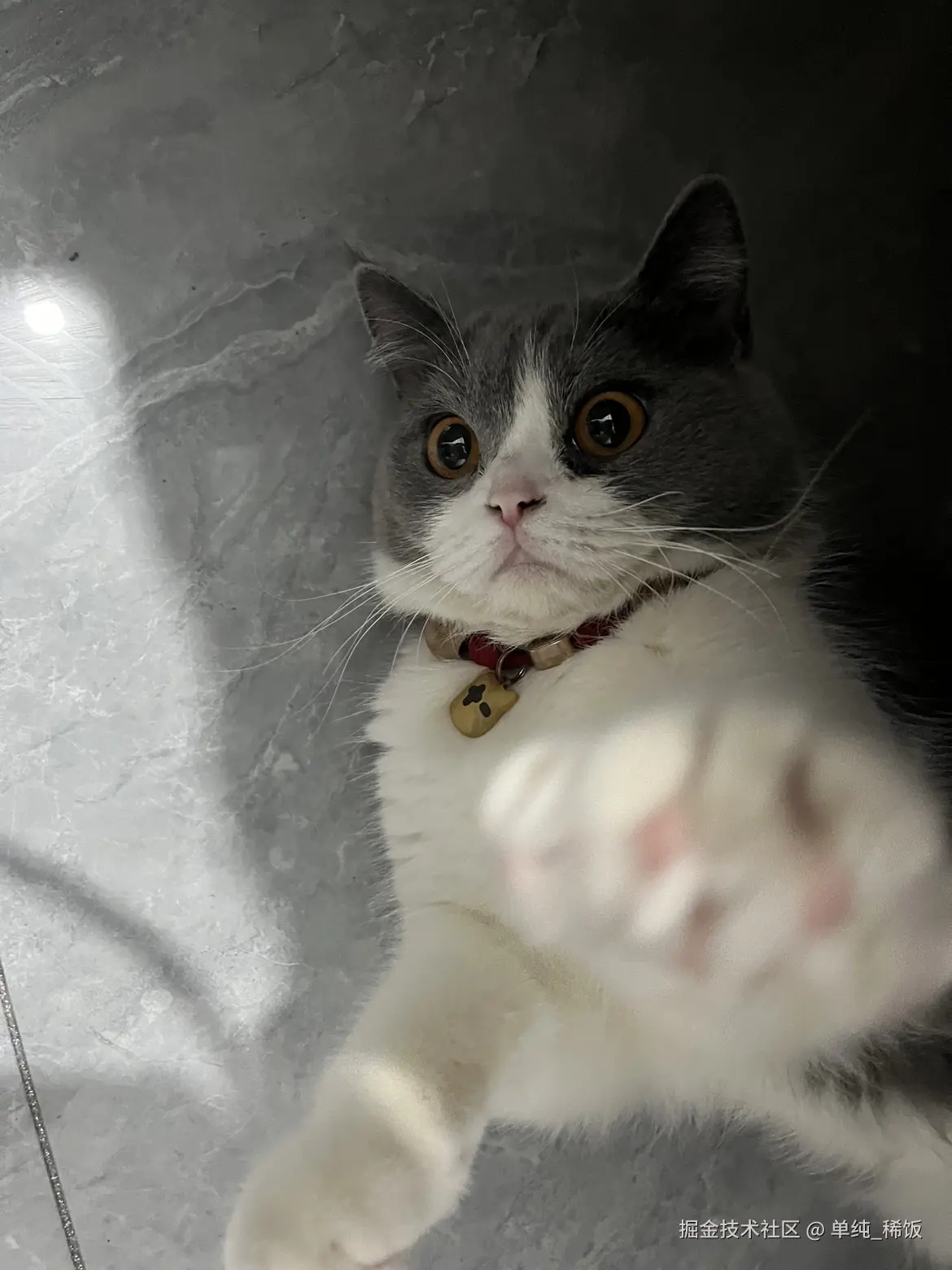 单纯_稀饭于2024-08-09 07:32发布的图片