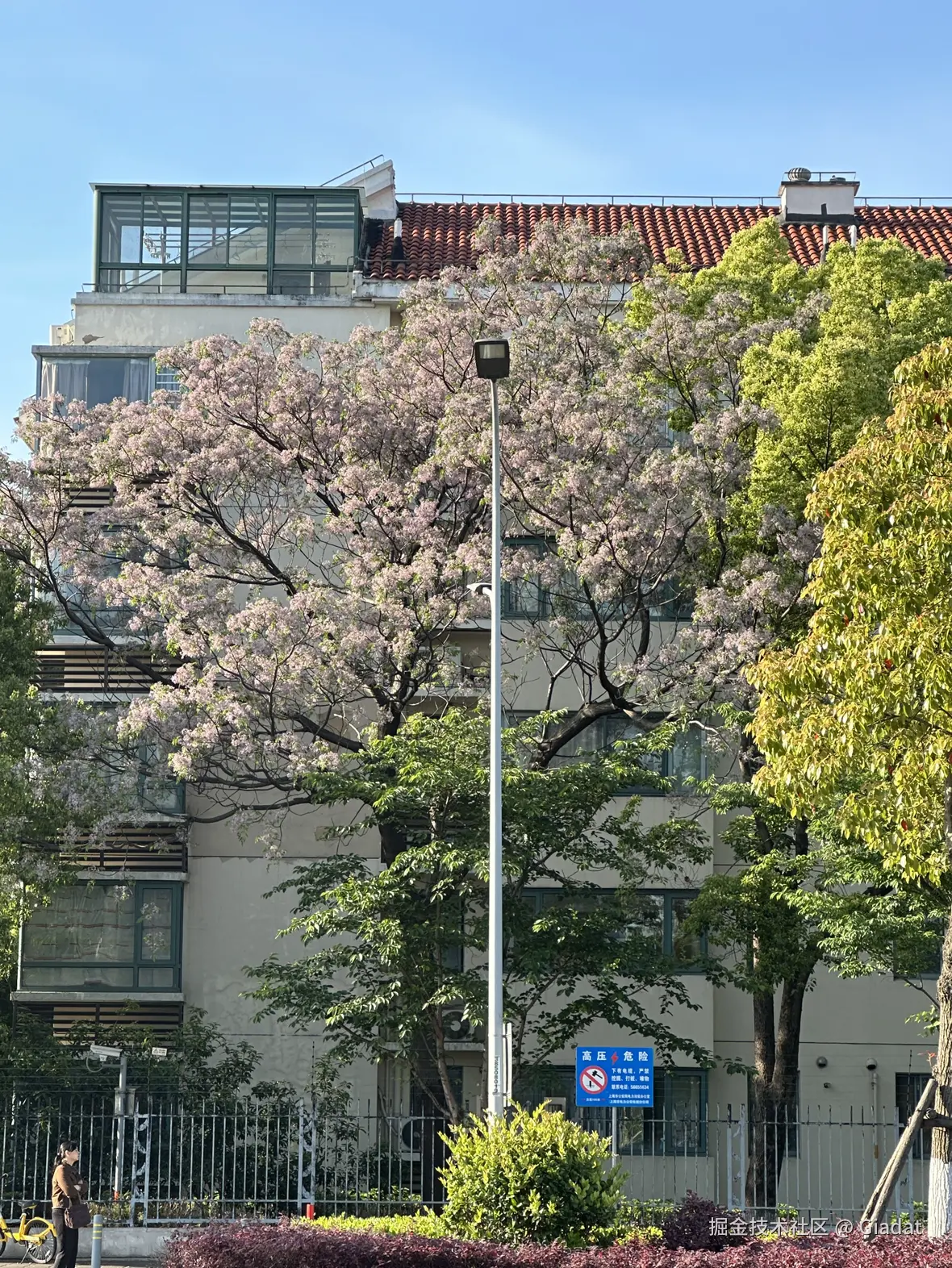 Giadat于2025-04-27 09:23发布的图片