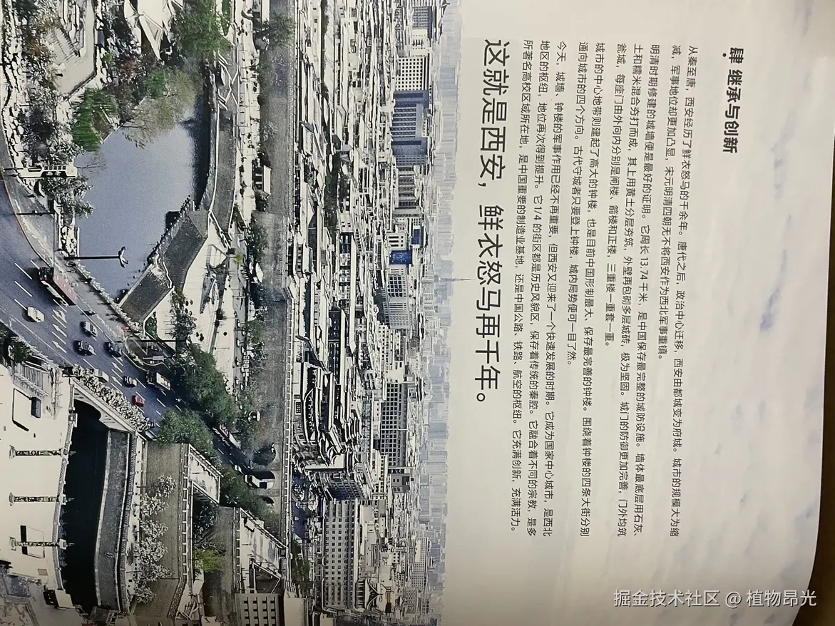 植物昂光于2026-04-01 20:37发布的图片