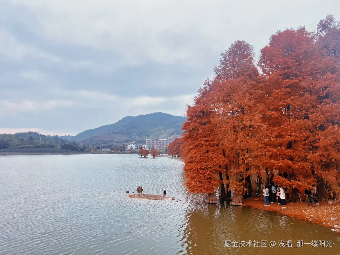 浅唱_那一缕阳光于2025-12-25 11:19发布的图片