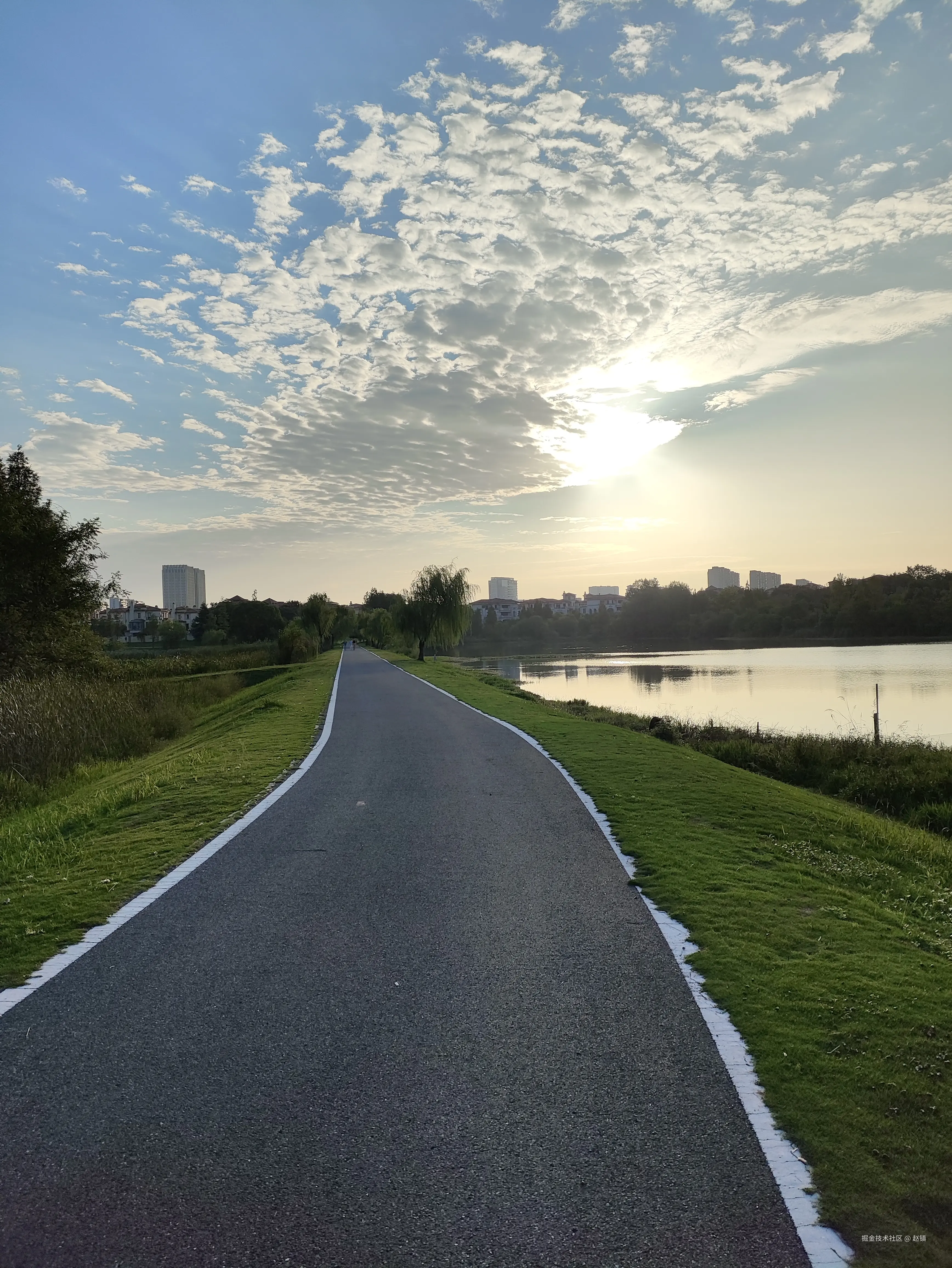 赵镇于2024-07-23 12:21发布的图片