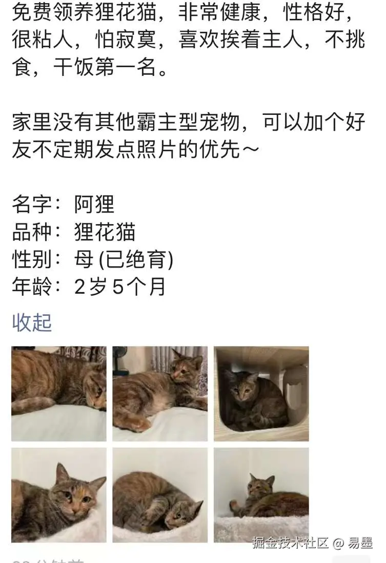 易墨于2024-07-19 13:55发布的图片