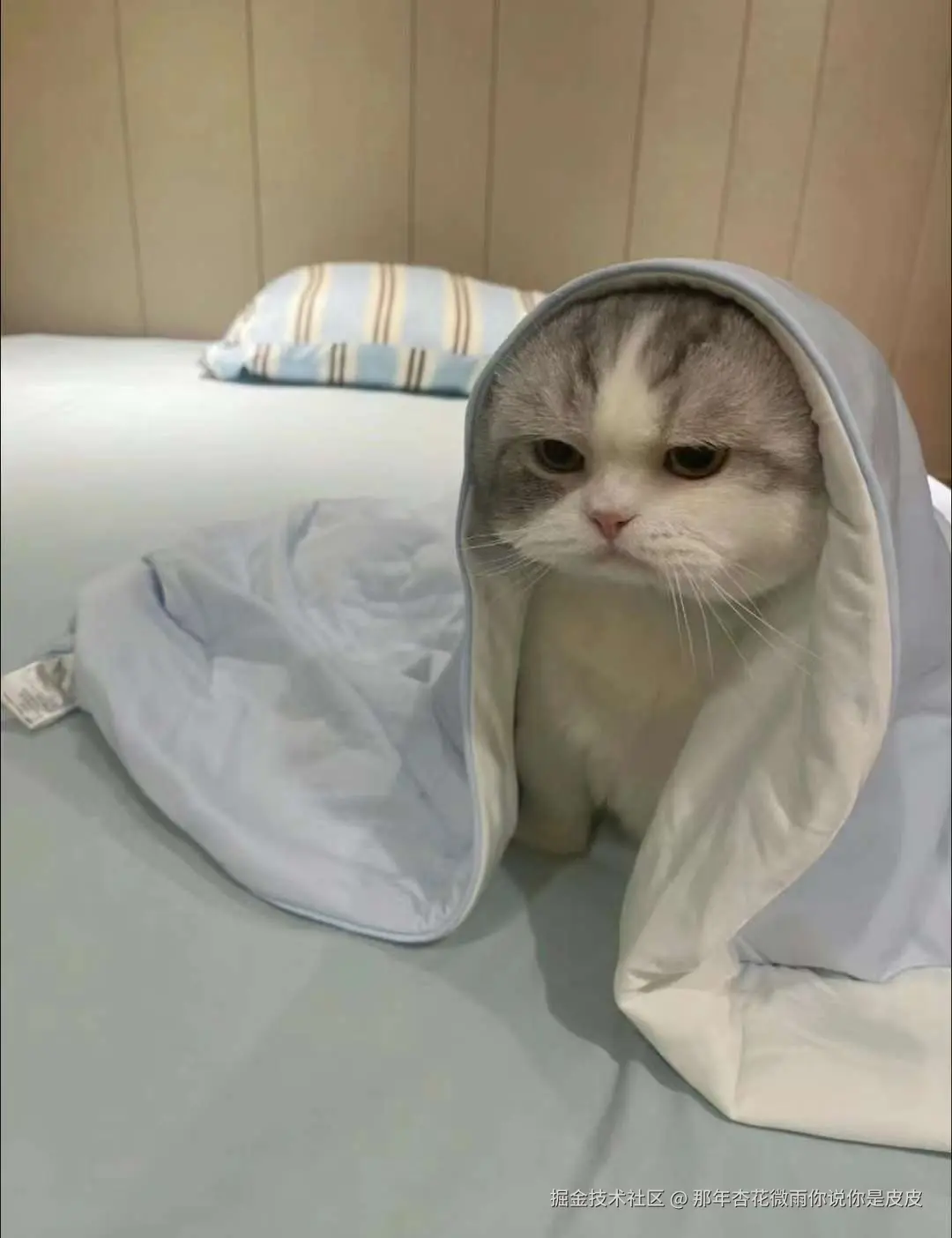 那年杏花微雨你说你是皮皮于2024-07-29 10:10发布的图片