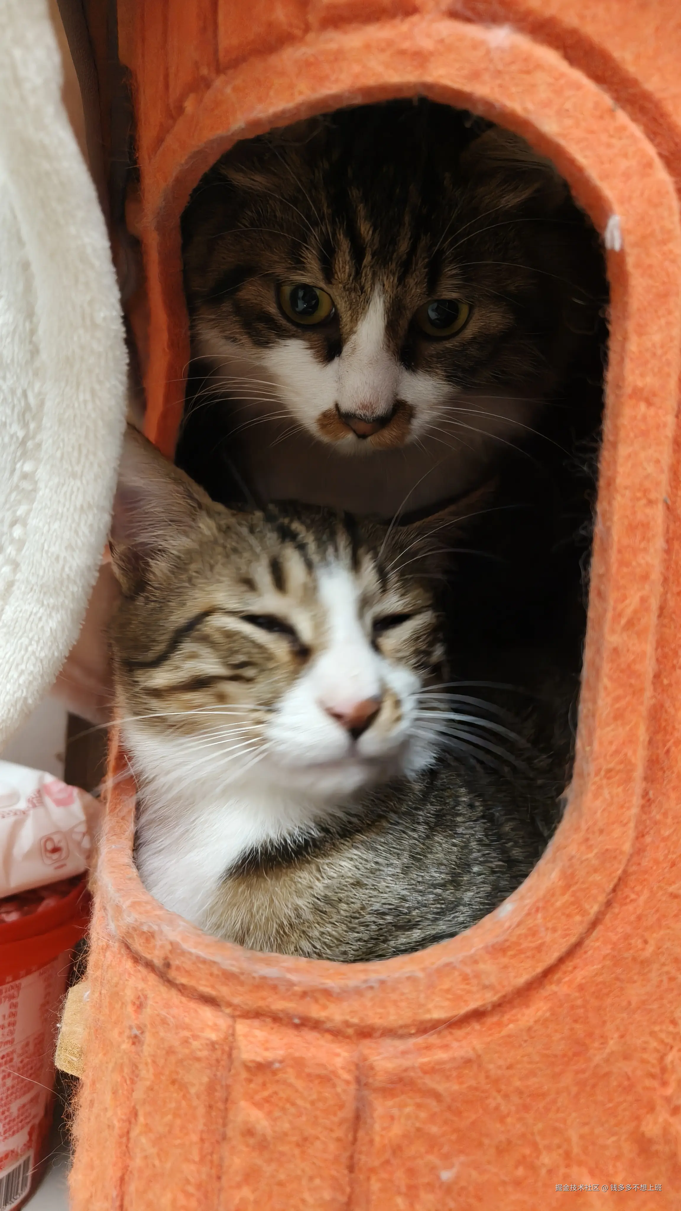 钱多多不想上班于2025-12-08 10:22发布的图片