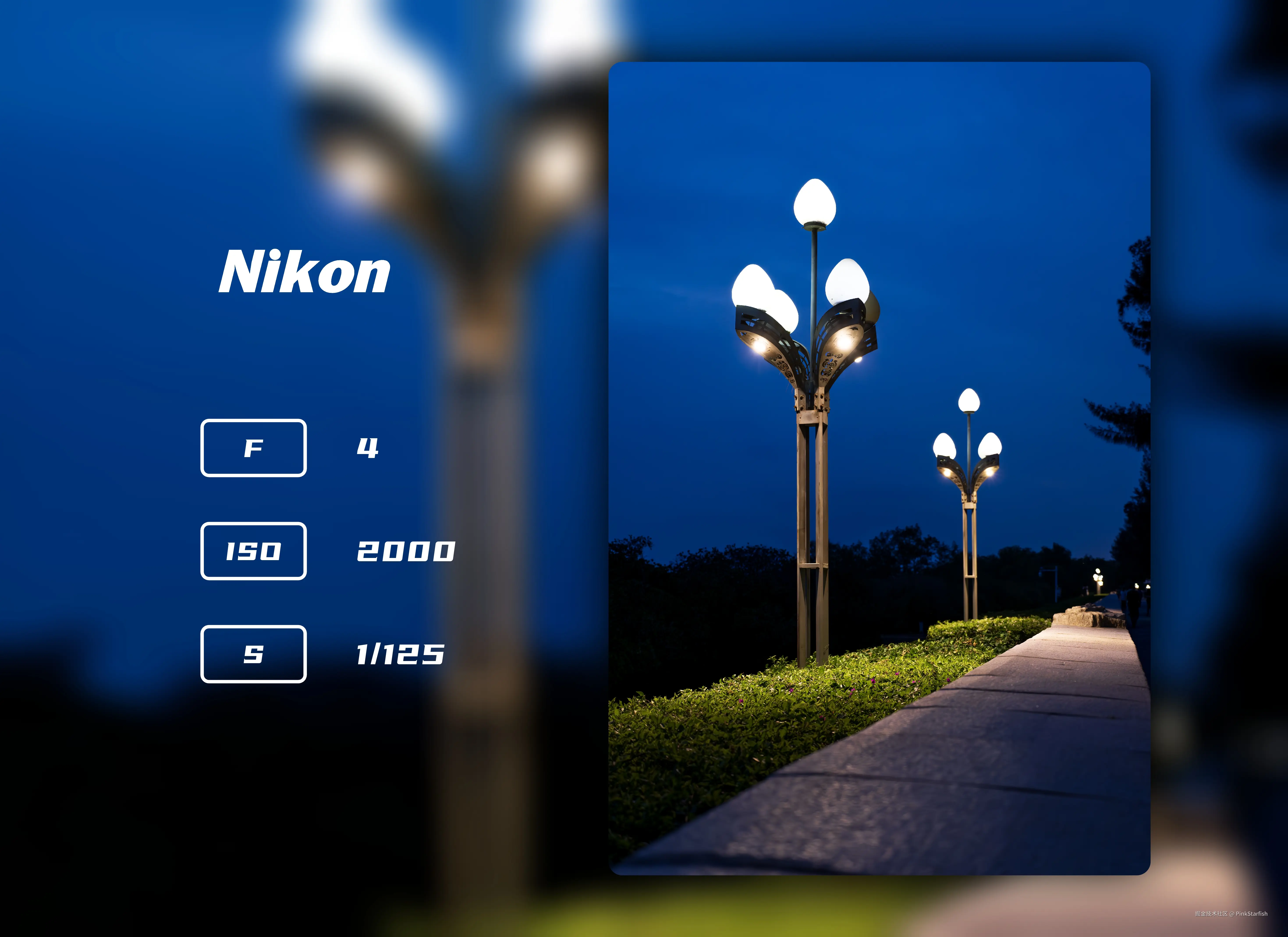 PinkStarfish于2025-06-04 10:37发布的图片