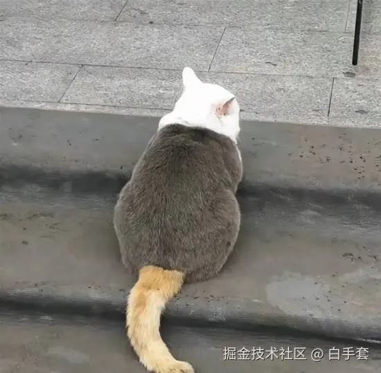 白手套于2026-02-26 21:13发布的图片