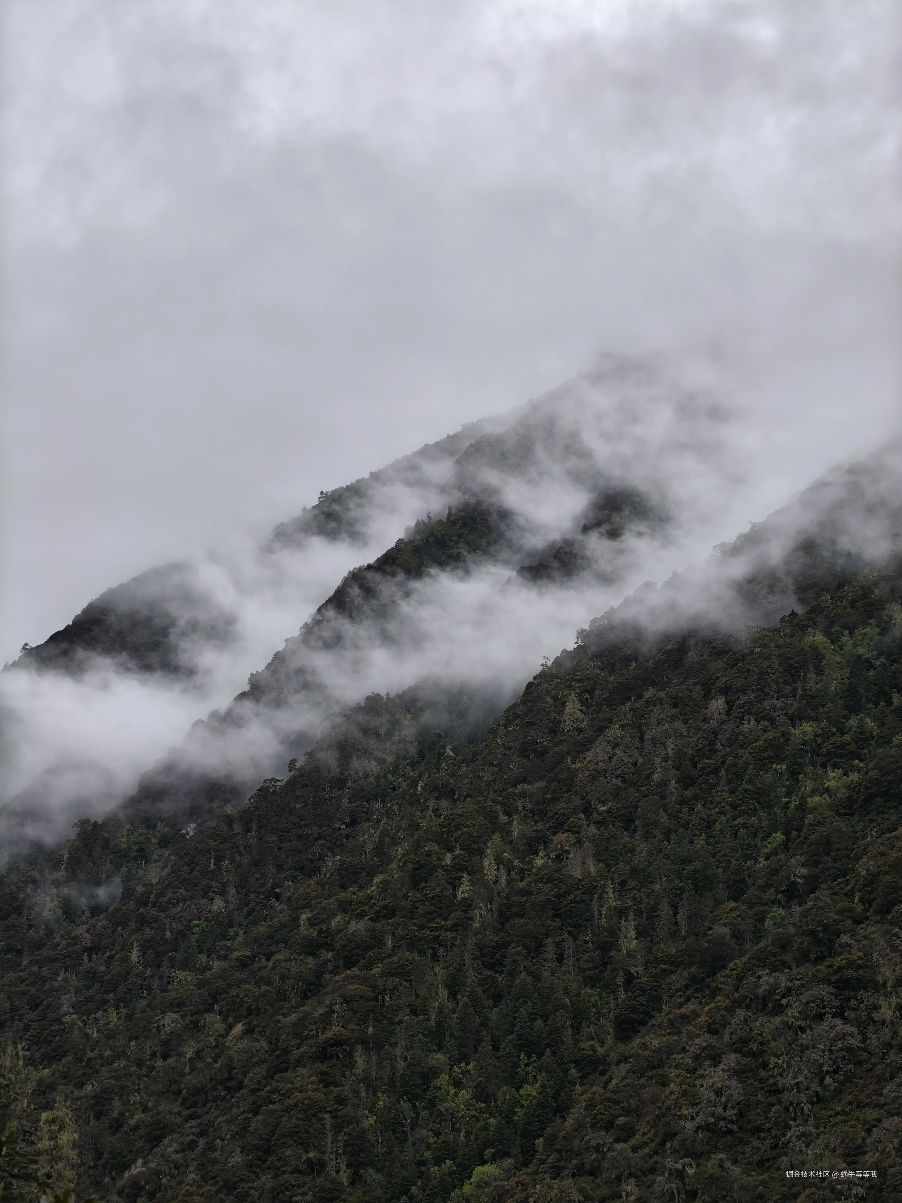 蜗牛等等我于2025-10-09 09:03发布的图片