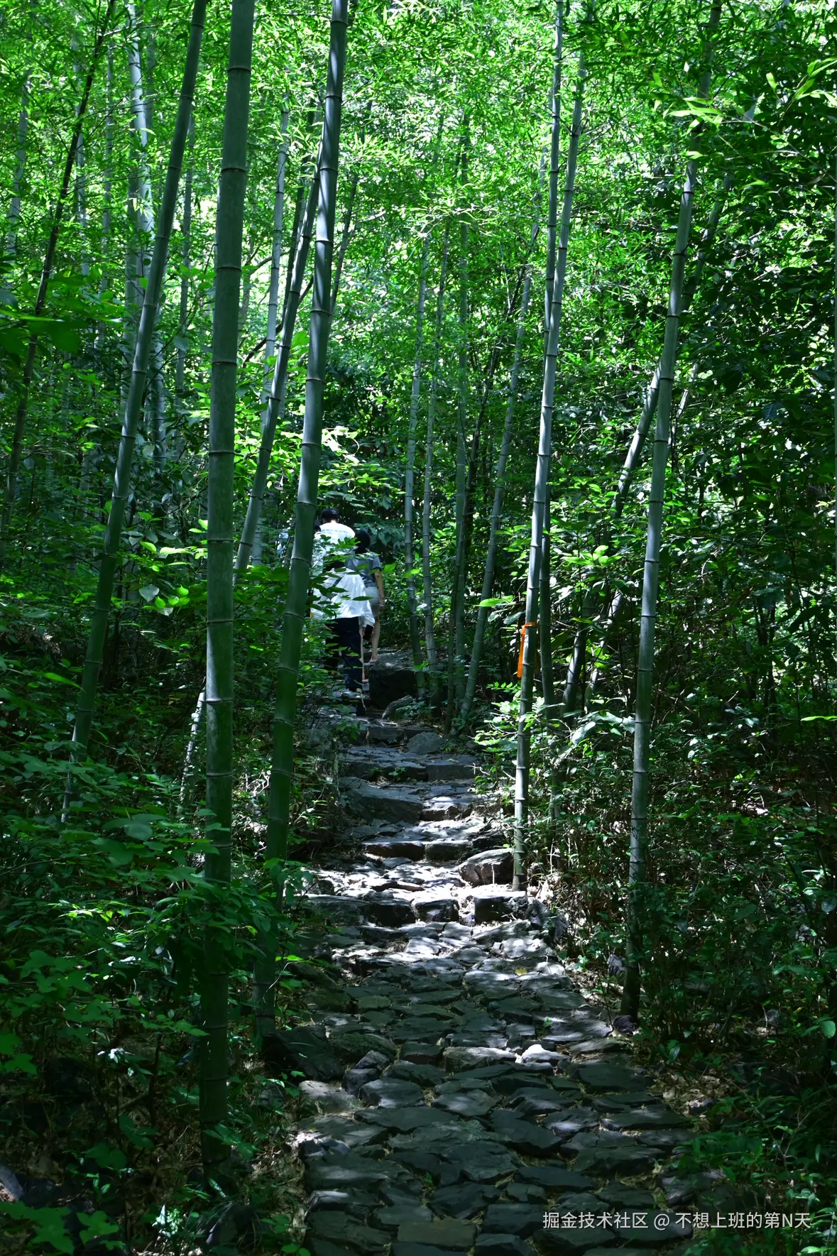 不想上班的第N天于2025-08-11 11:12发布的图片