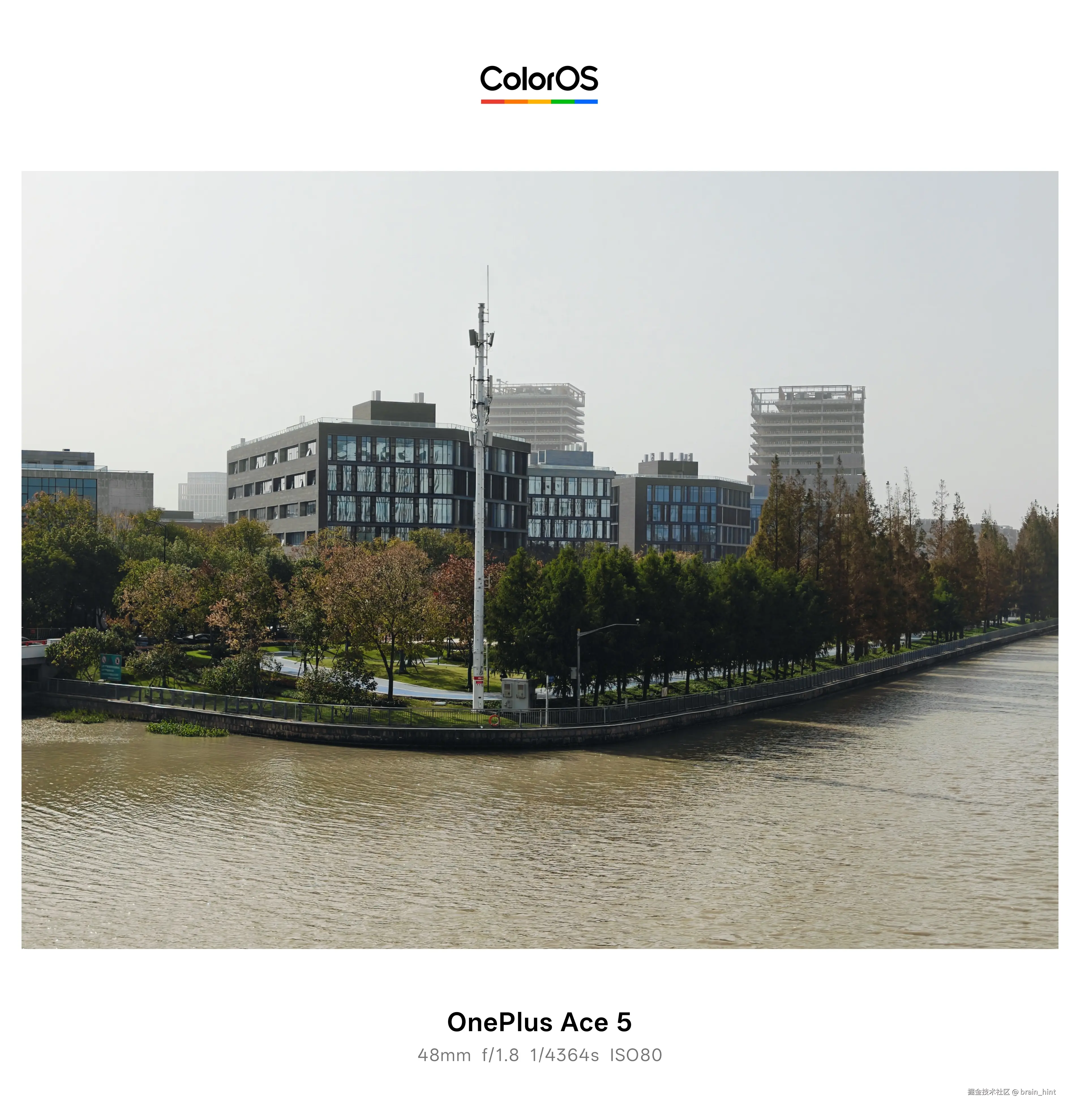 brain_hint于2025-11-27 12:44发布的图片