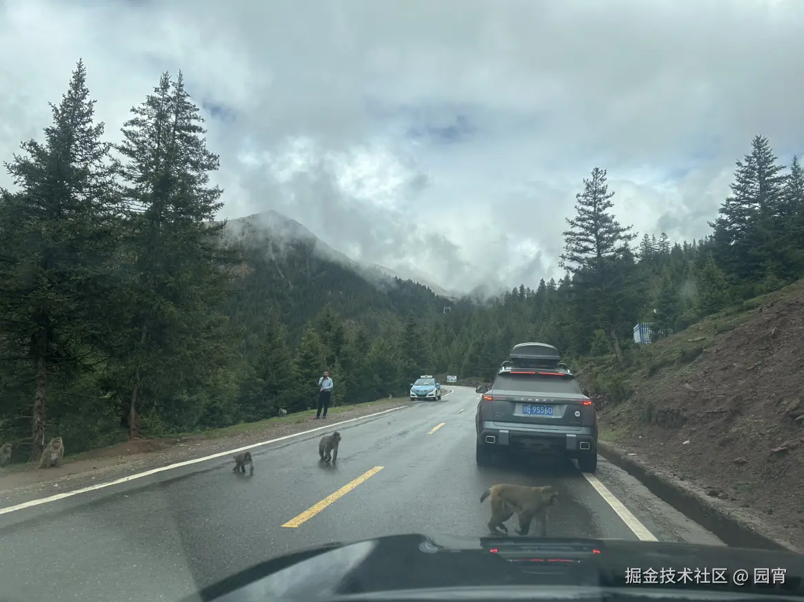 园宵于2025-06-26 09:27发布的图片