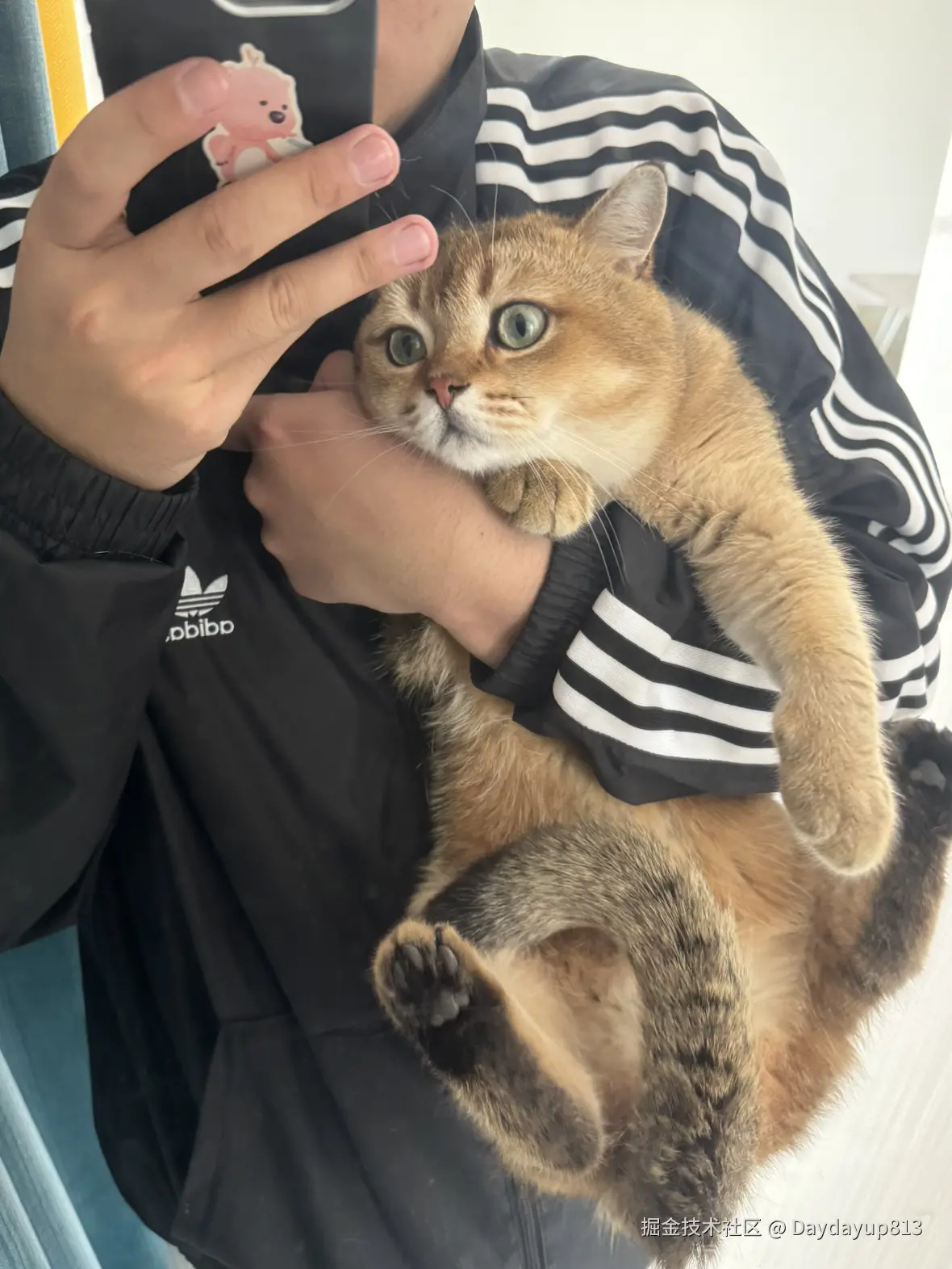 Daydayup813于2025-04-28 09:10发布的图片