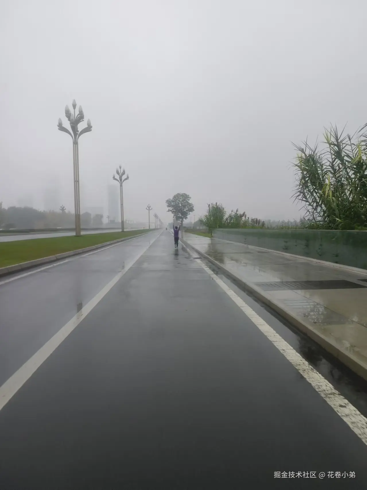 花卷小弟于2024-11-26 13:54发布的图片