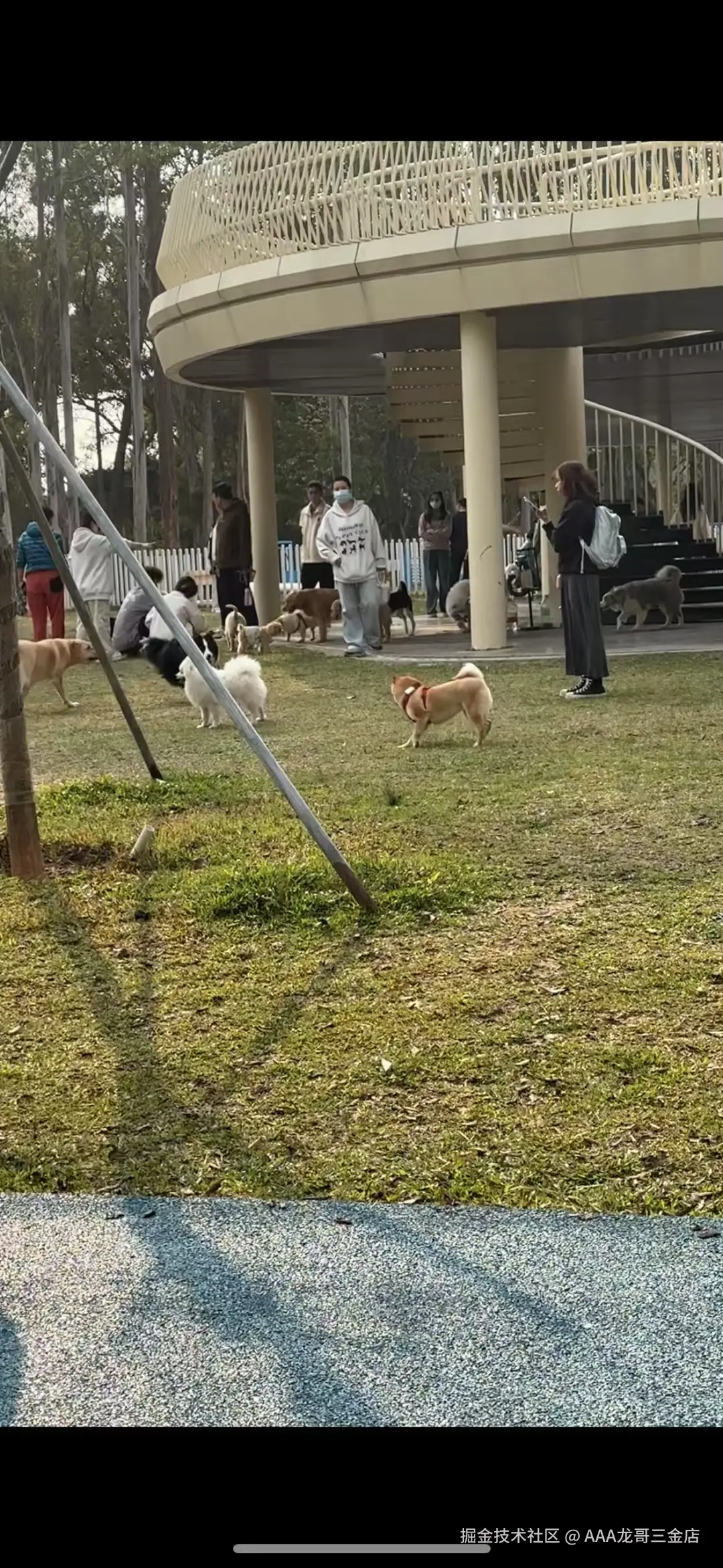 AAA龙哥三金店于2025-03-10 10:22发布的图片