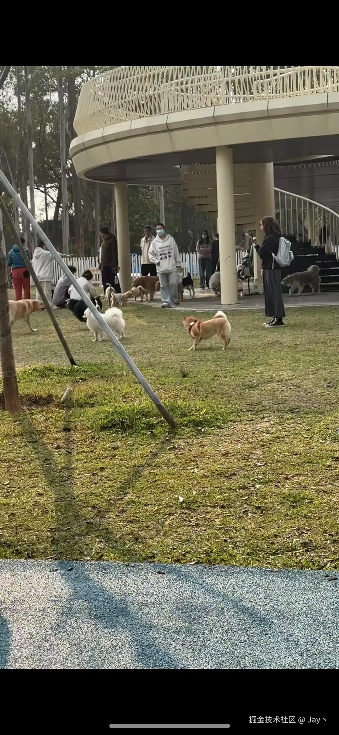 Jay丶于2025-03-10 10:22发布的图片