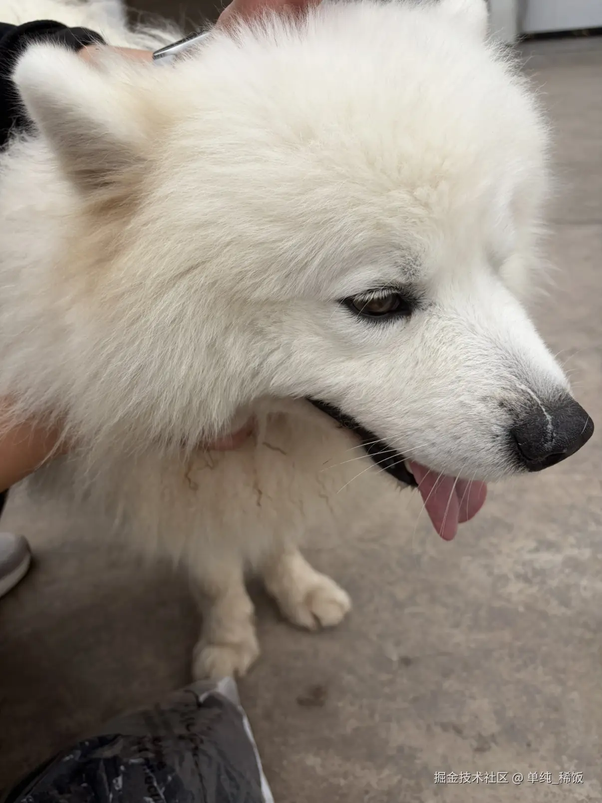 单纯_稀饭于2026-02-28 14:46发布的图片