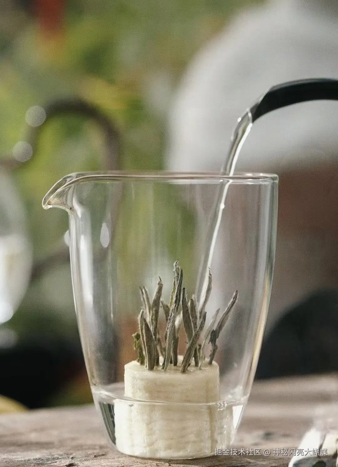 神秘闪亮大蝴蝶于2026-03-01 17:17发布的图片