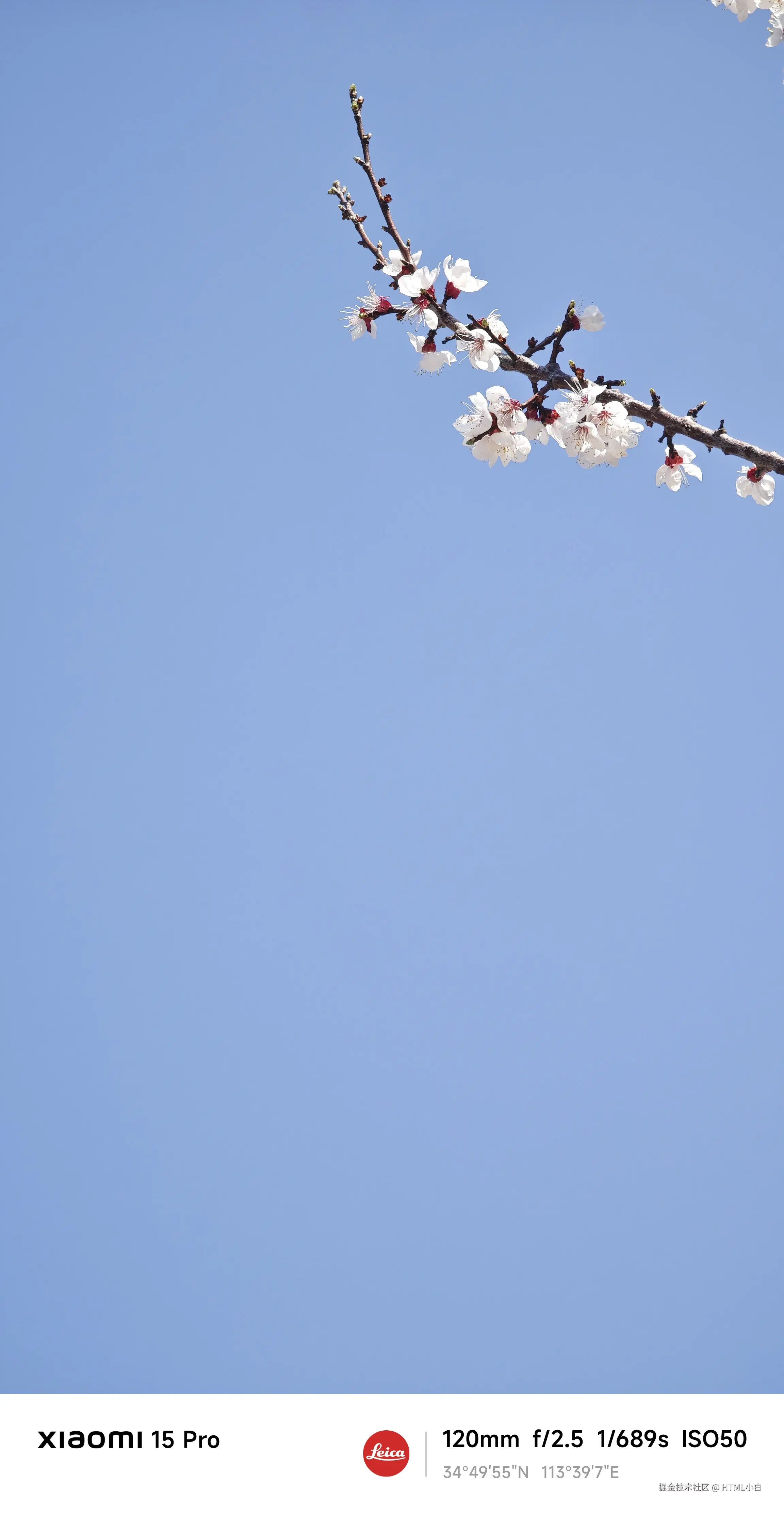 HTML小白于2025-03-19 09:31发布的图片