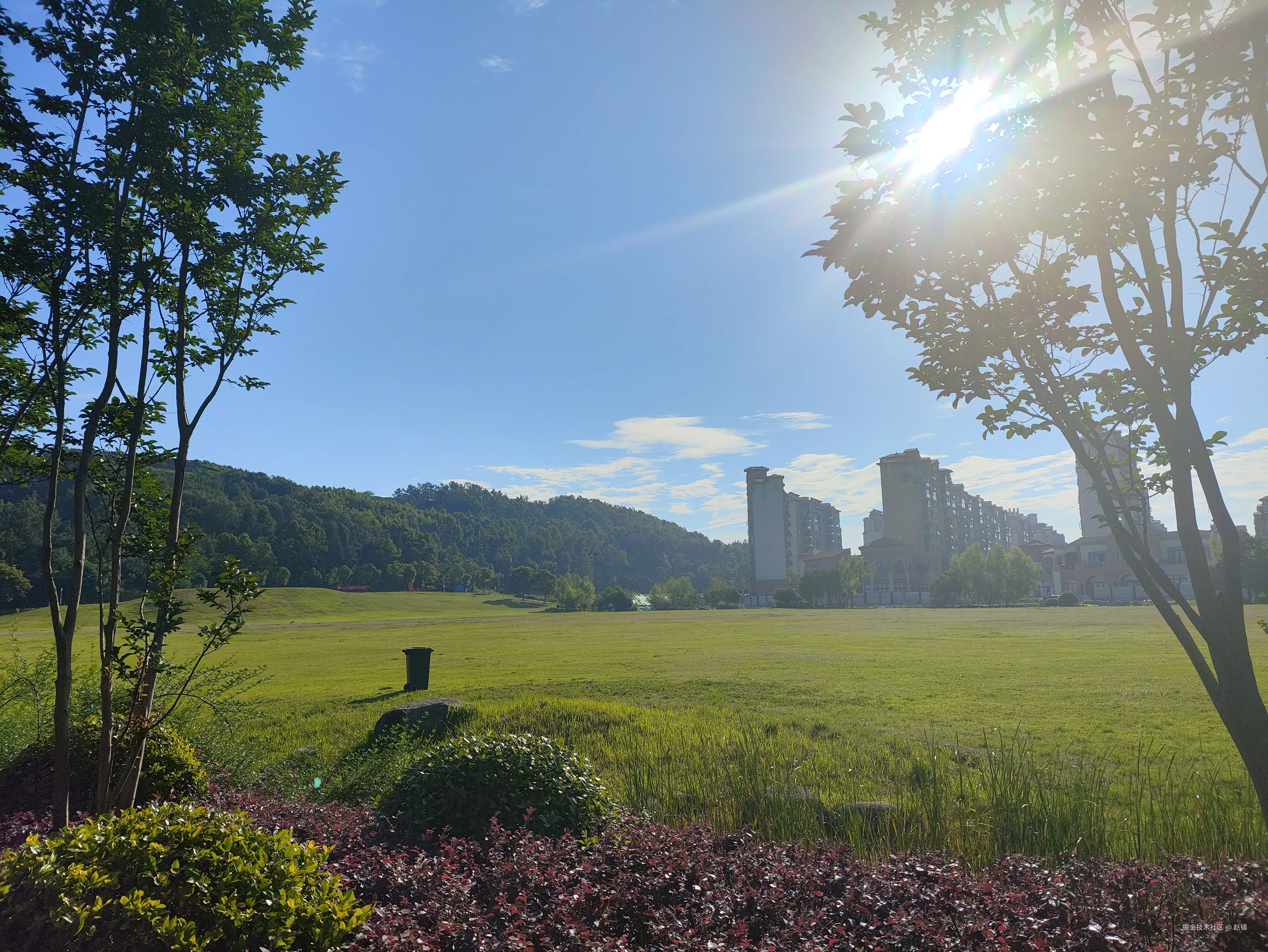 赵镇于2024-07-23 08:31发布的图片