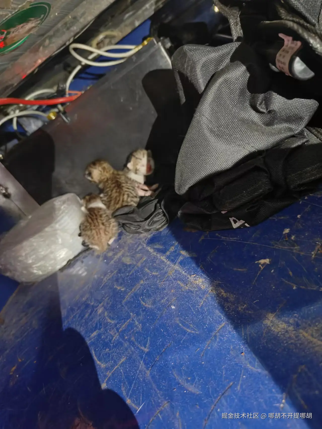 哪胡不开提哪胡于2024-11-01 09:07发布的图片